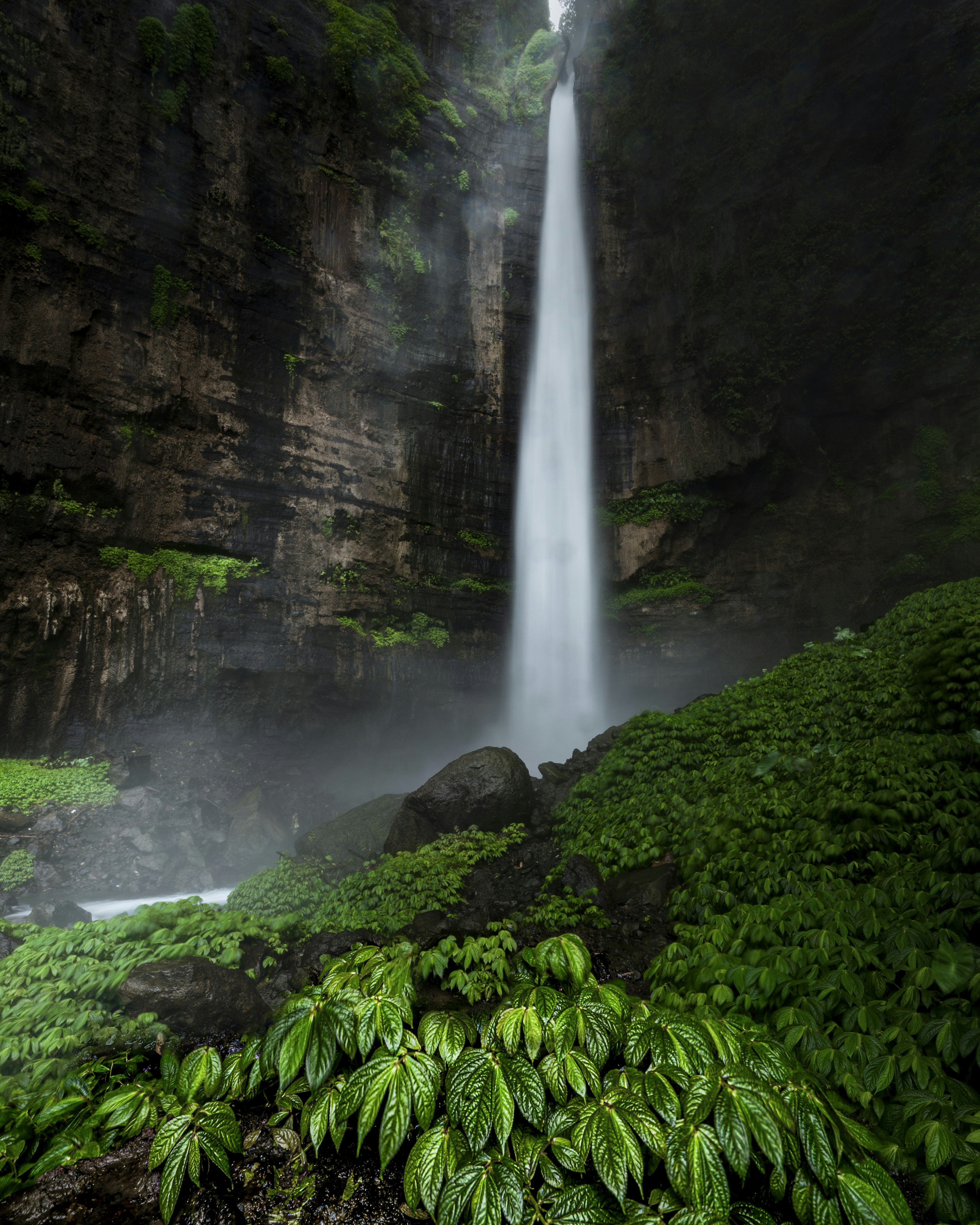 壮大な滝が緑豊かな植物に囲まれている風景