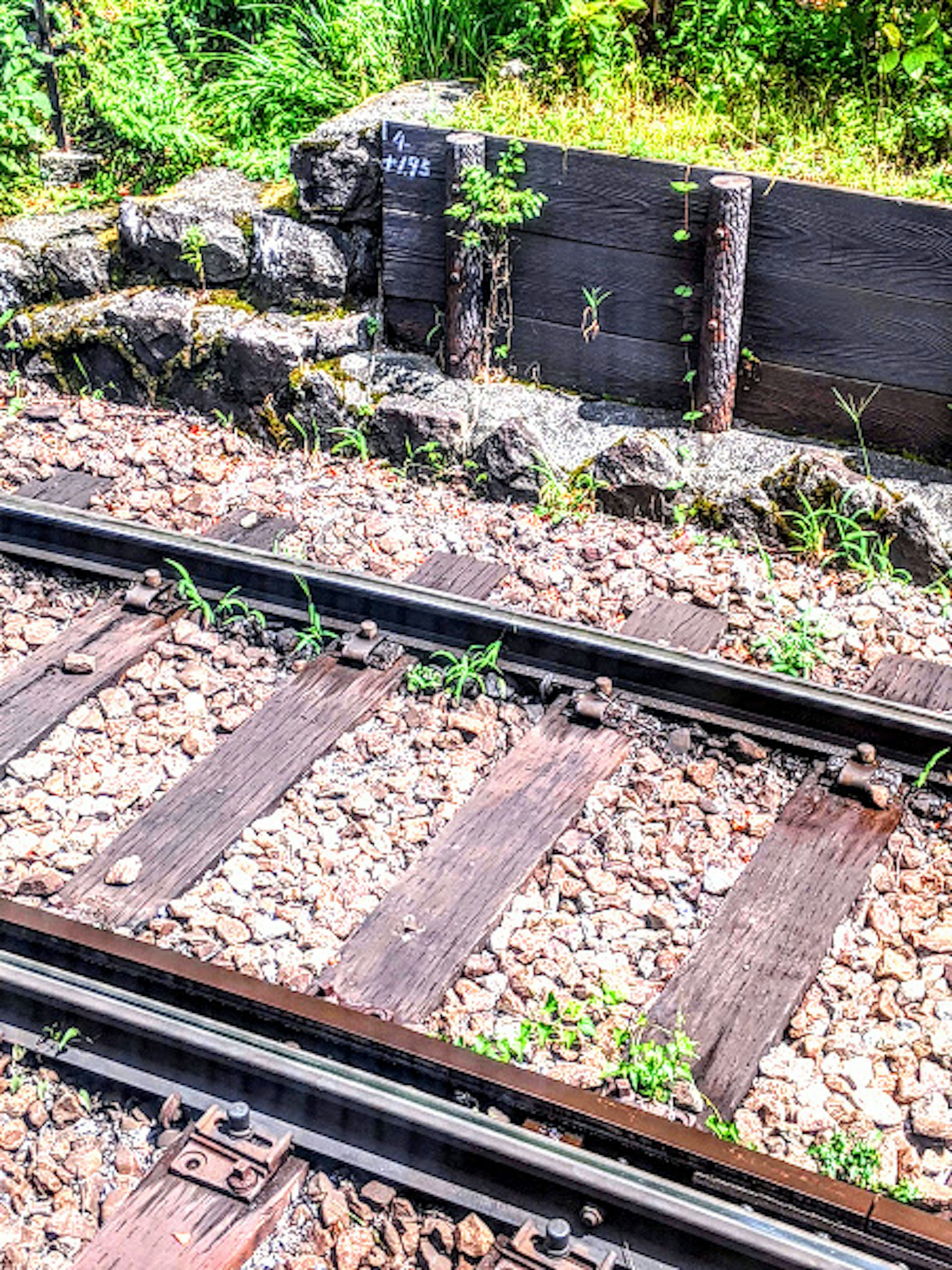 Traversine in legno con vegetazione e sfondo di pietra