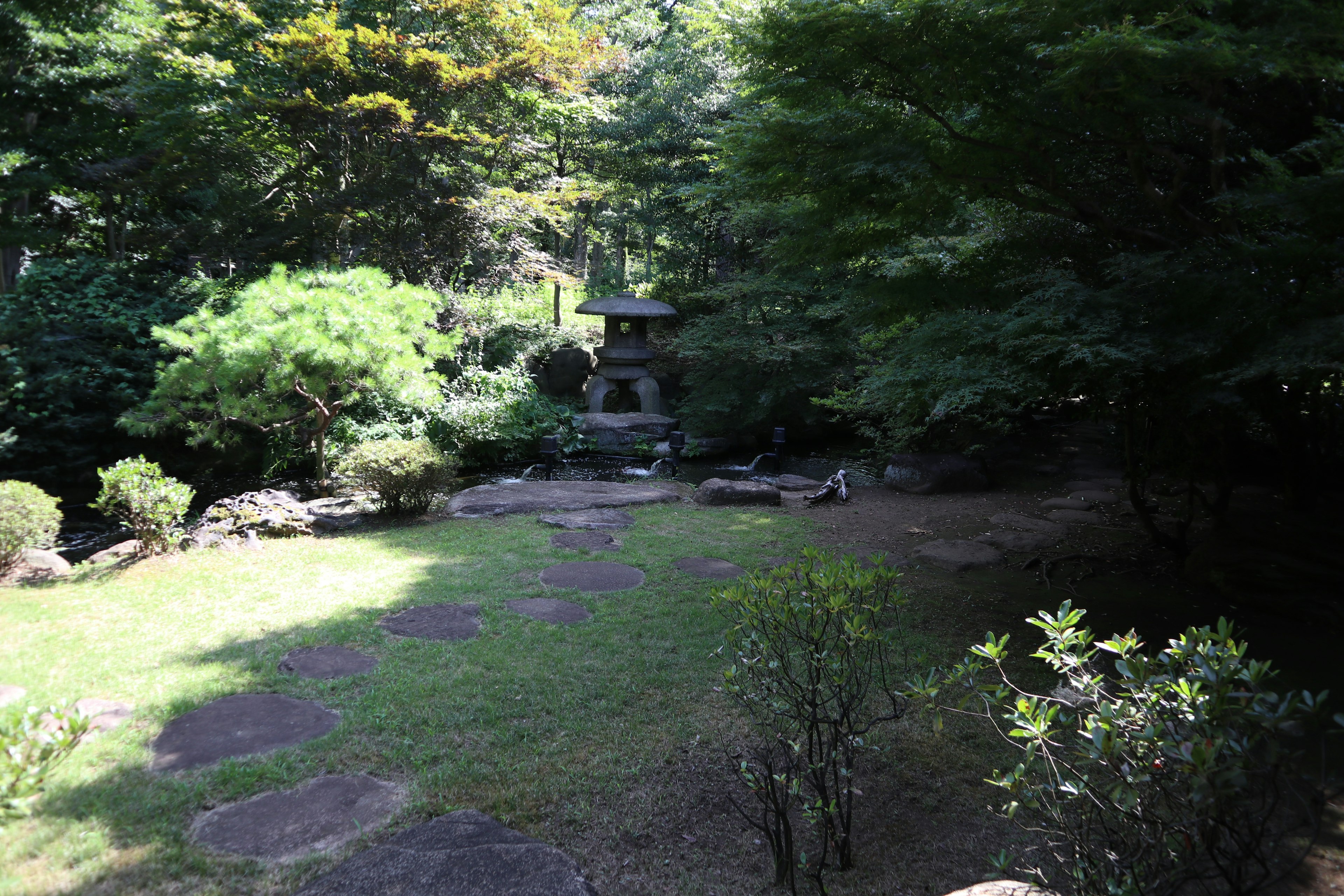 Ruhiger Blick auf einen japanischen Garten mit grünen Bäumen Steinen und einem kleinen Wasserfall