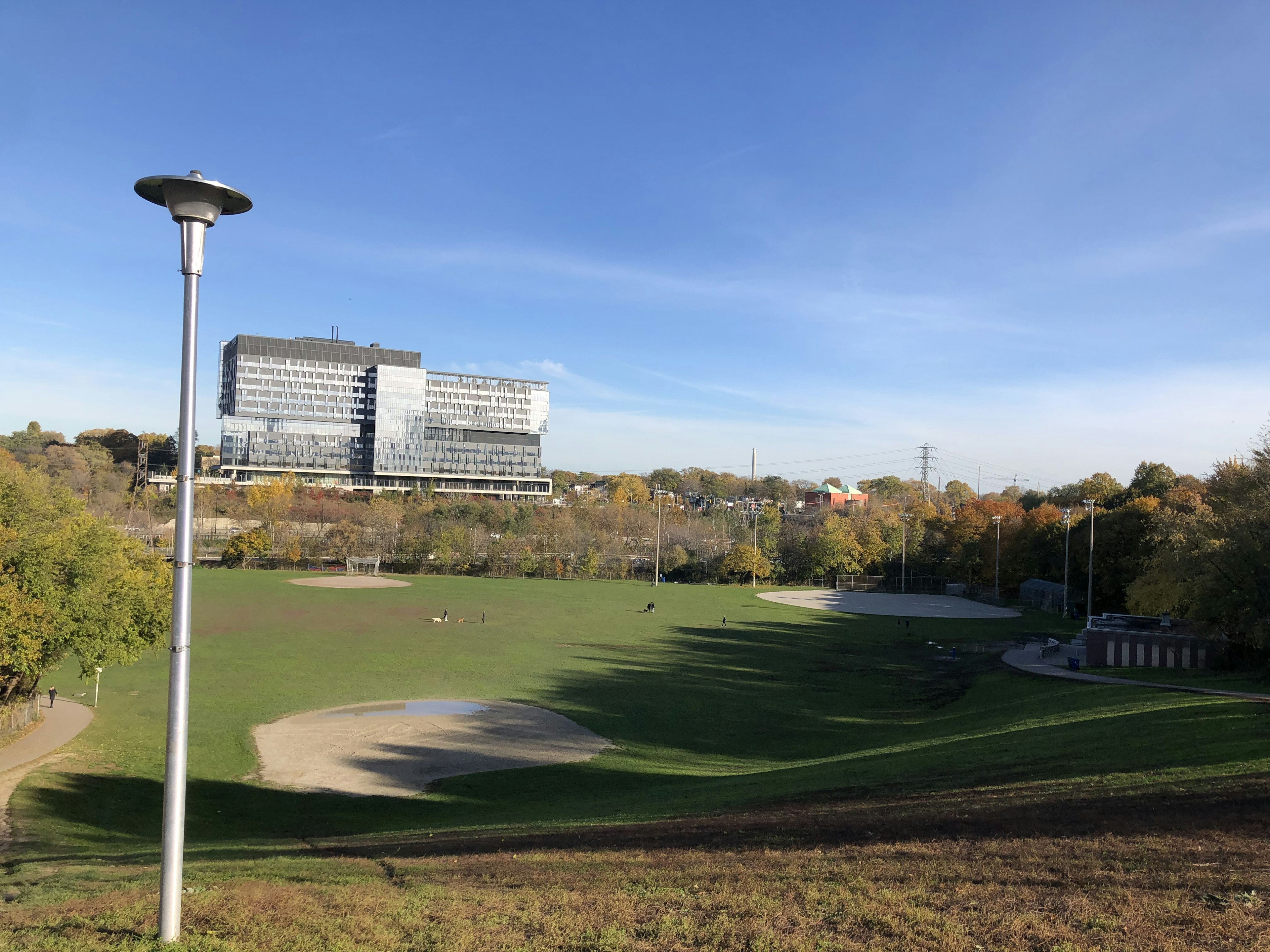 寬廣的公園與背景中的現代建築