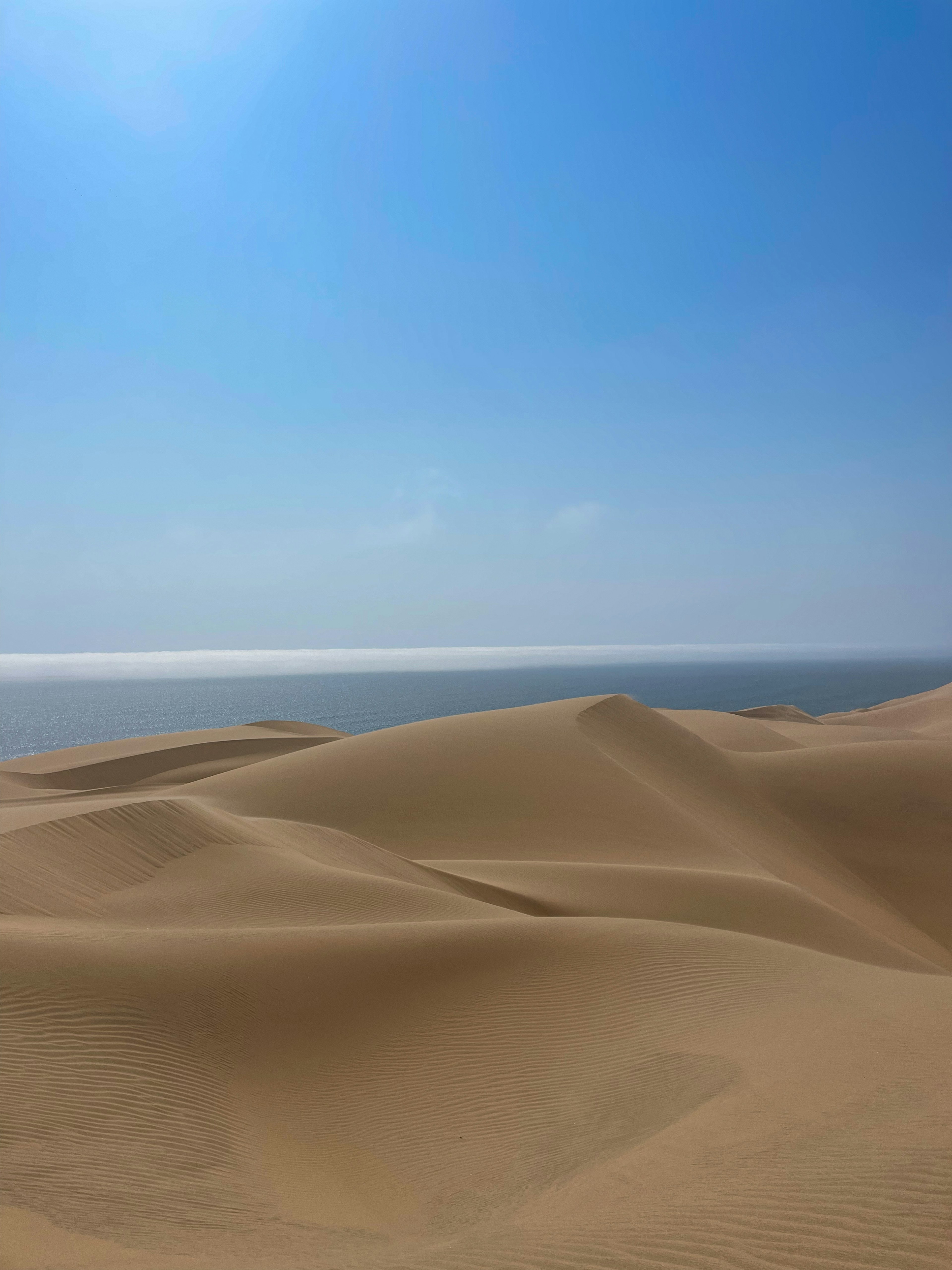 A landscape of sand dunes surrounded by a blue sky and ocean