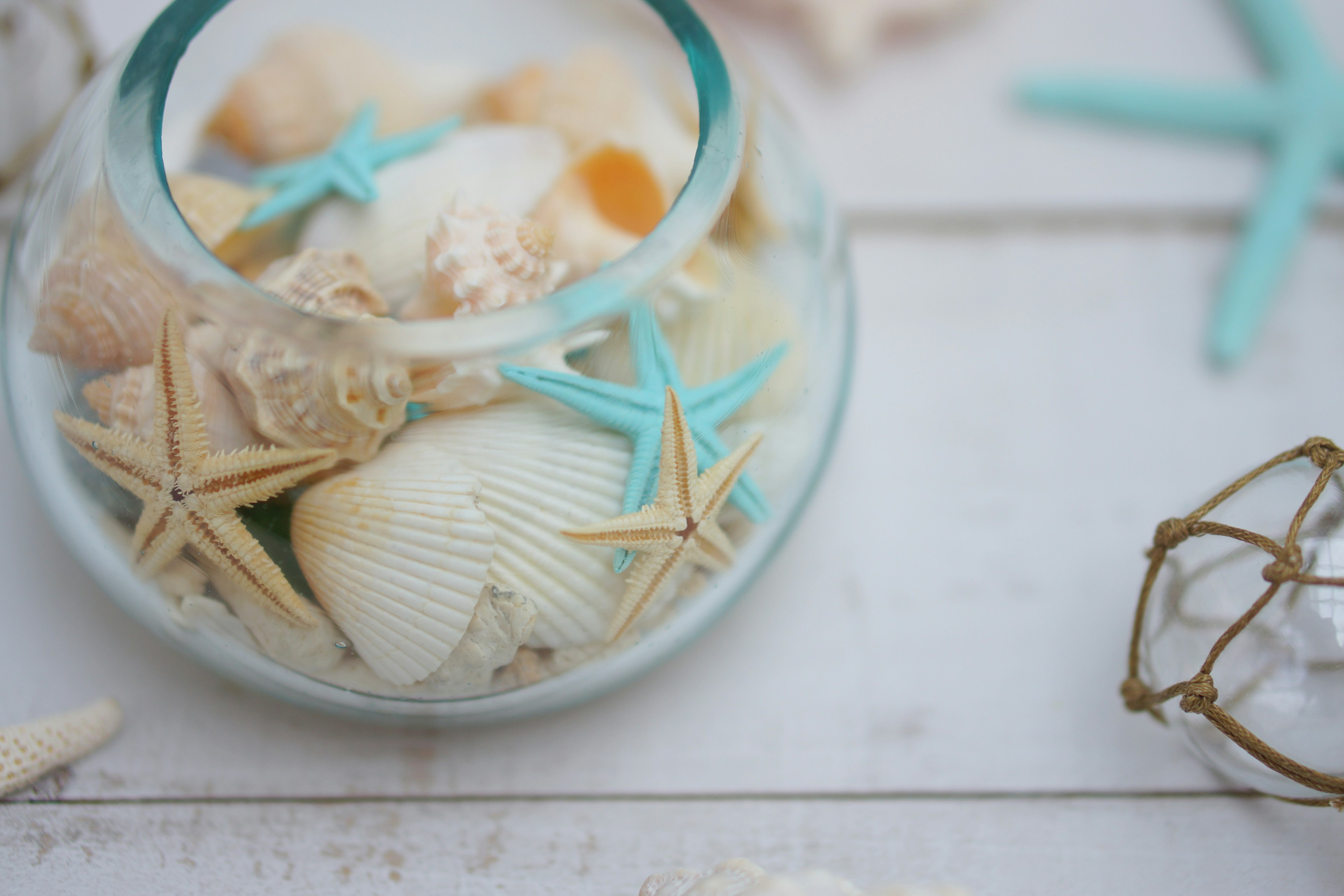 Un récipient transparent rempli de coquillages et d'étoiles de mer bleues