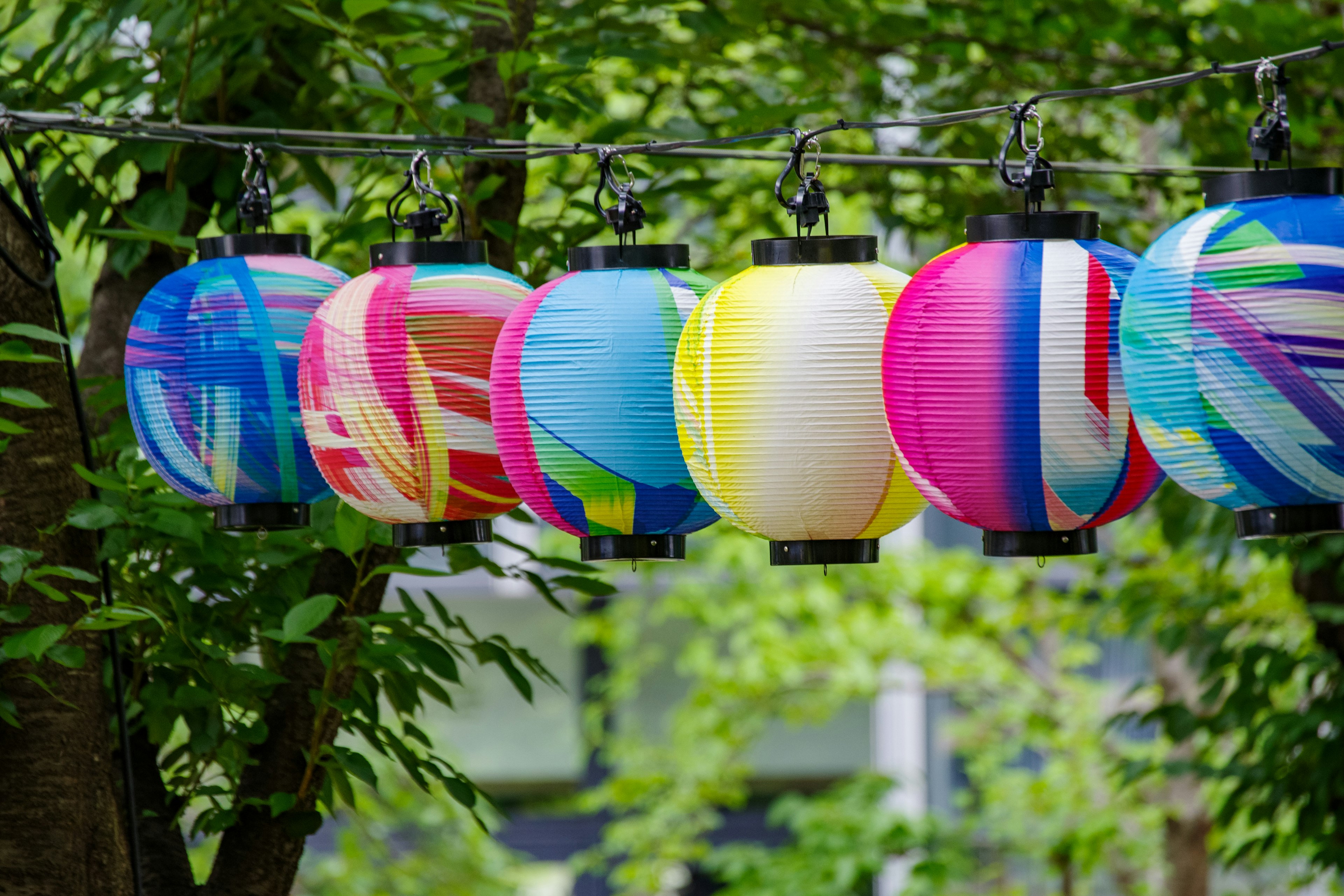 Lanternes colorées suspendues dans un cadre verdoyant