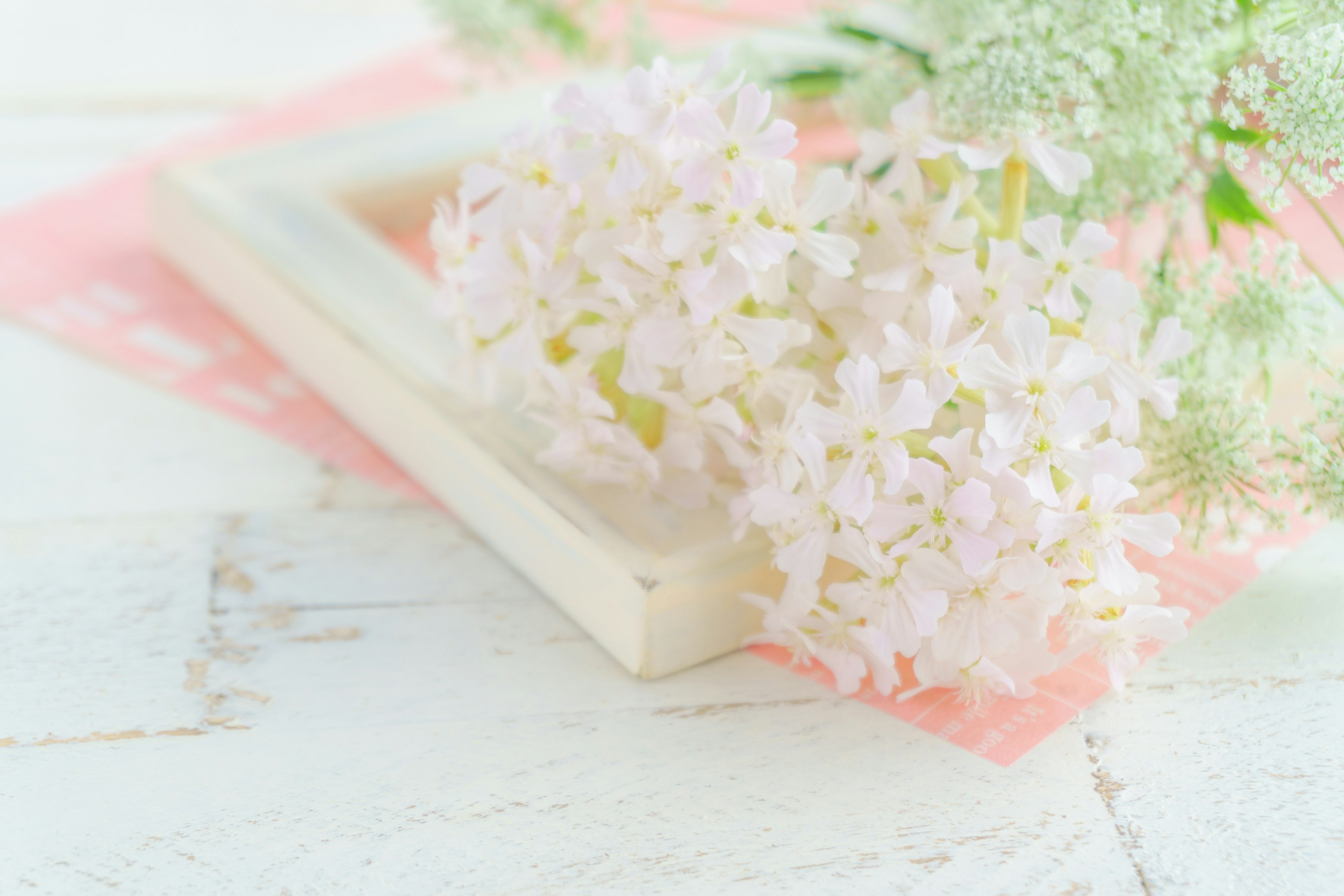 Soft pastel image featuring pale pink flowers and a white frame