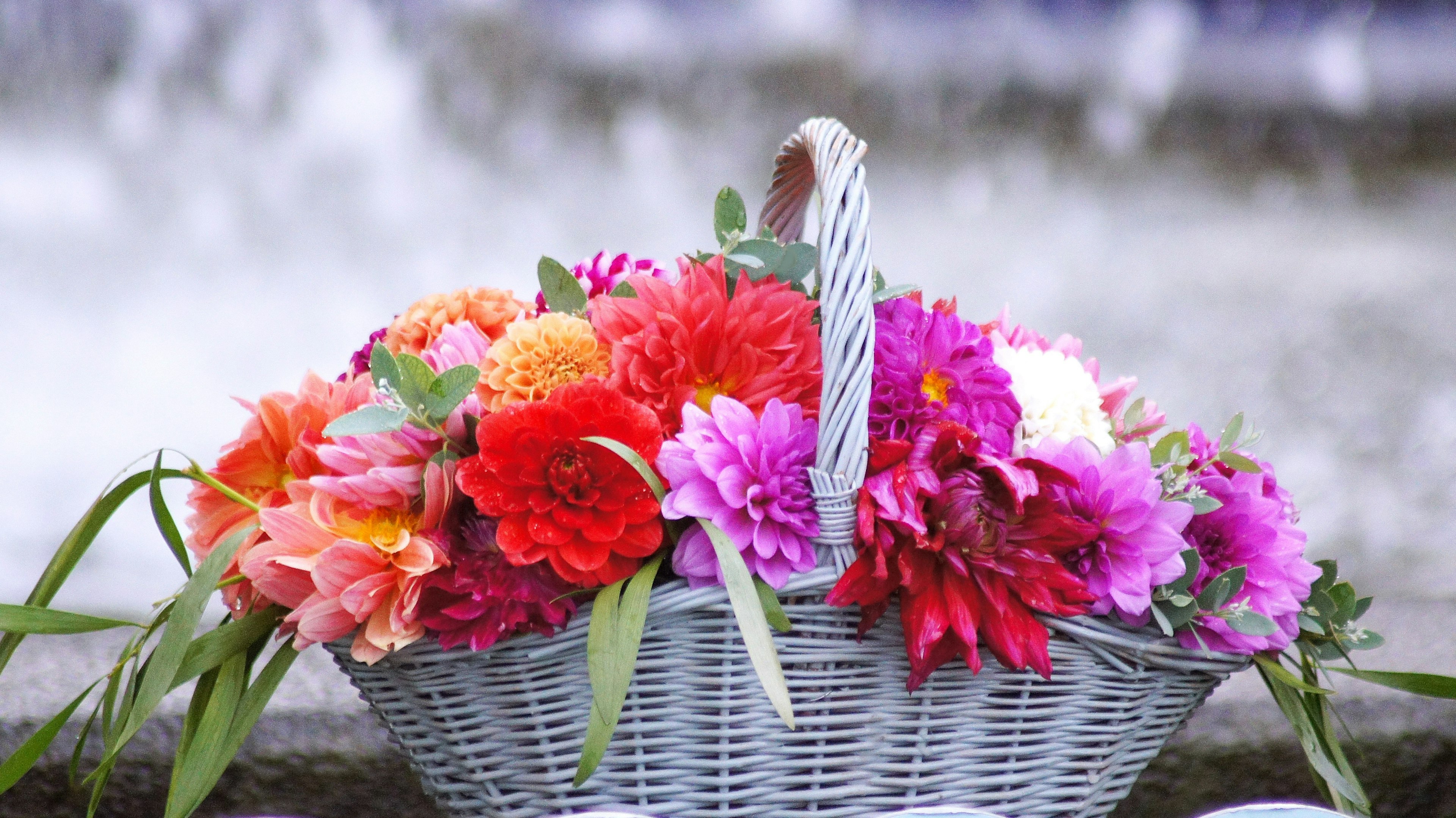 Ein Korb mit bunten Blumen vor einem Wasserhintergrund