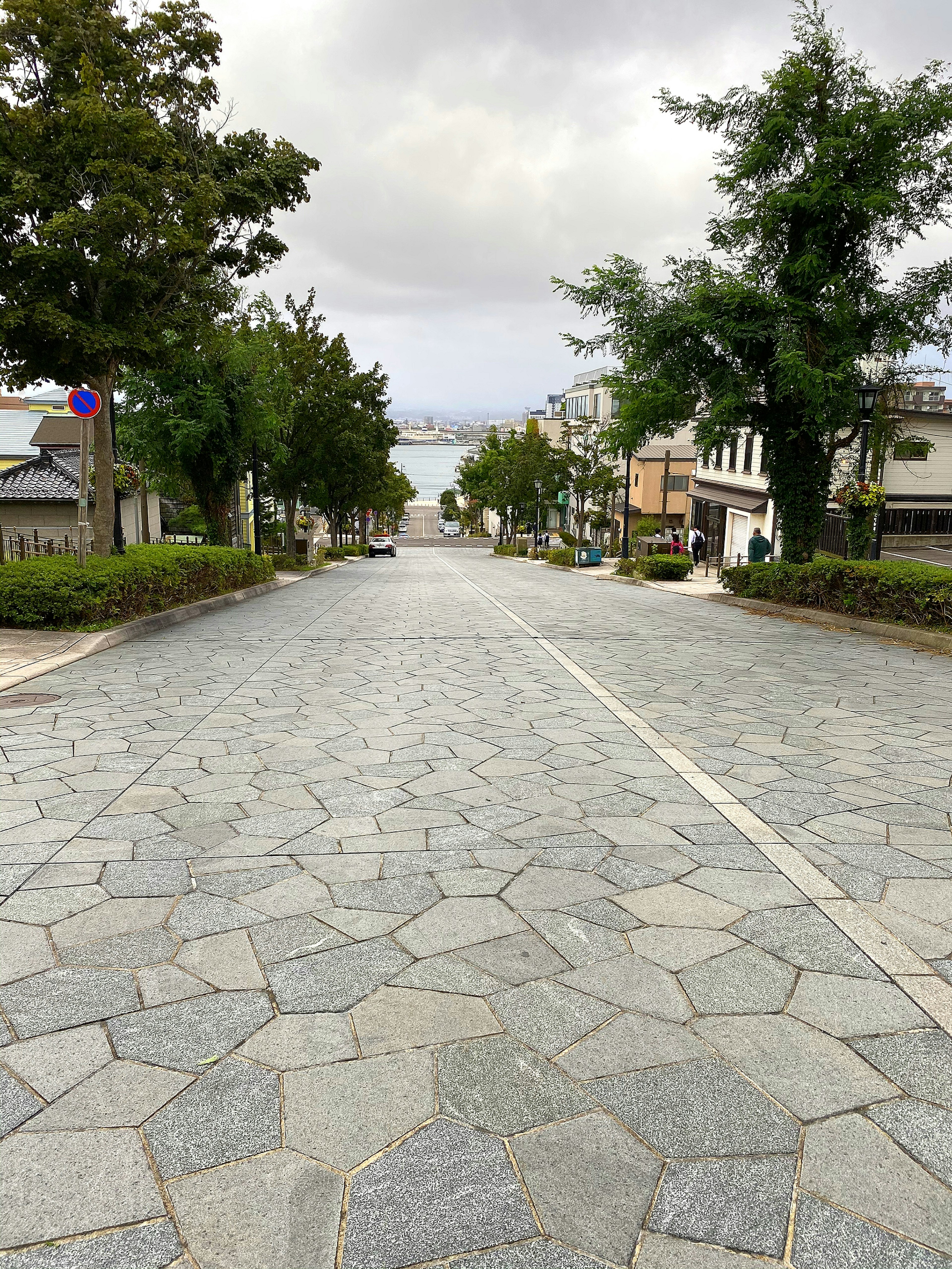 Camino pavimentado de piedra flanqueado por árboles verdes y edificios