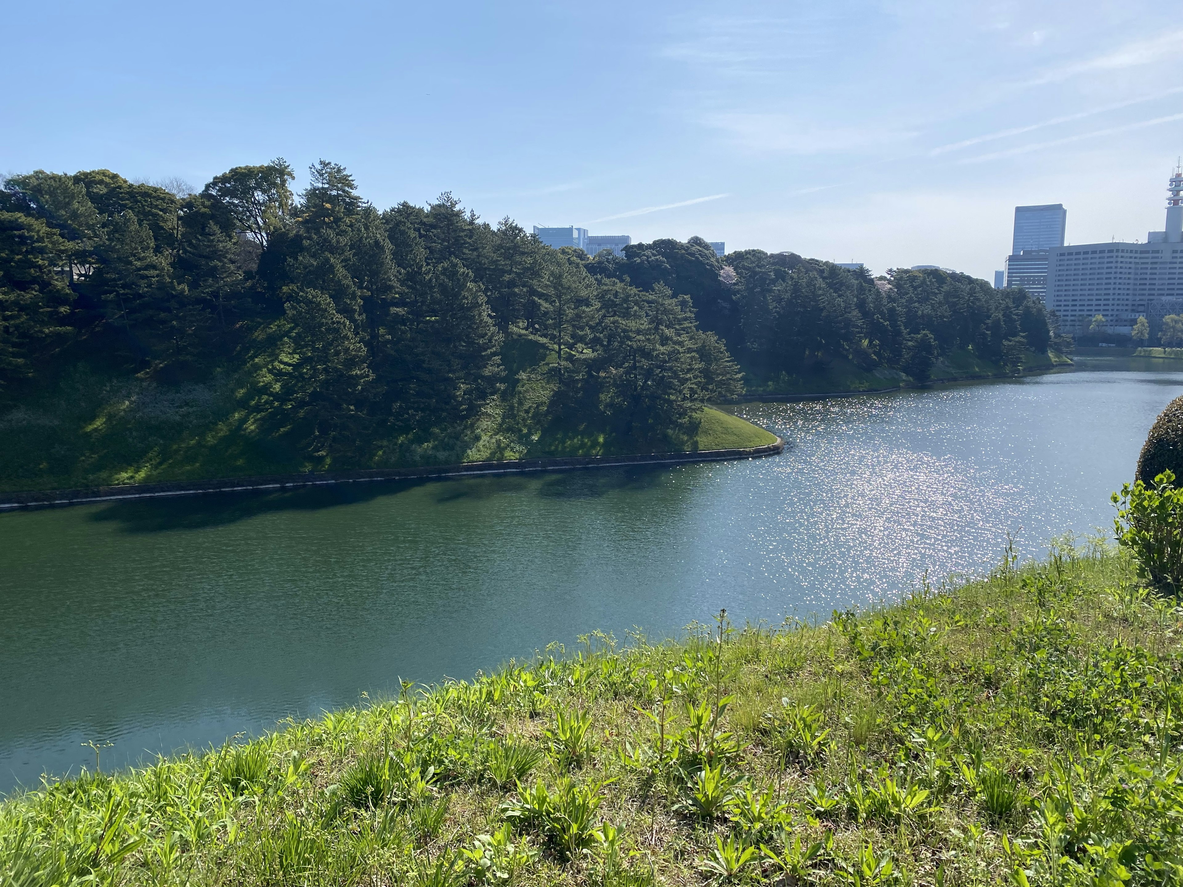 Serene pond with blue water and lush green shoreline