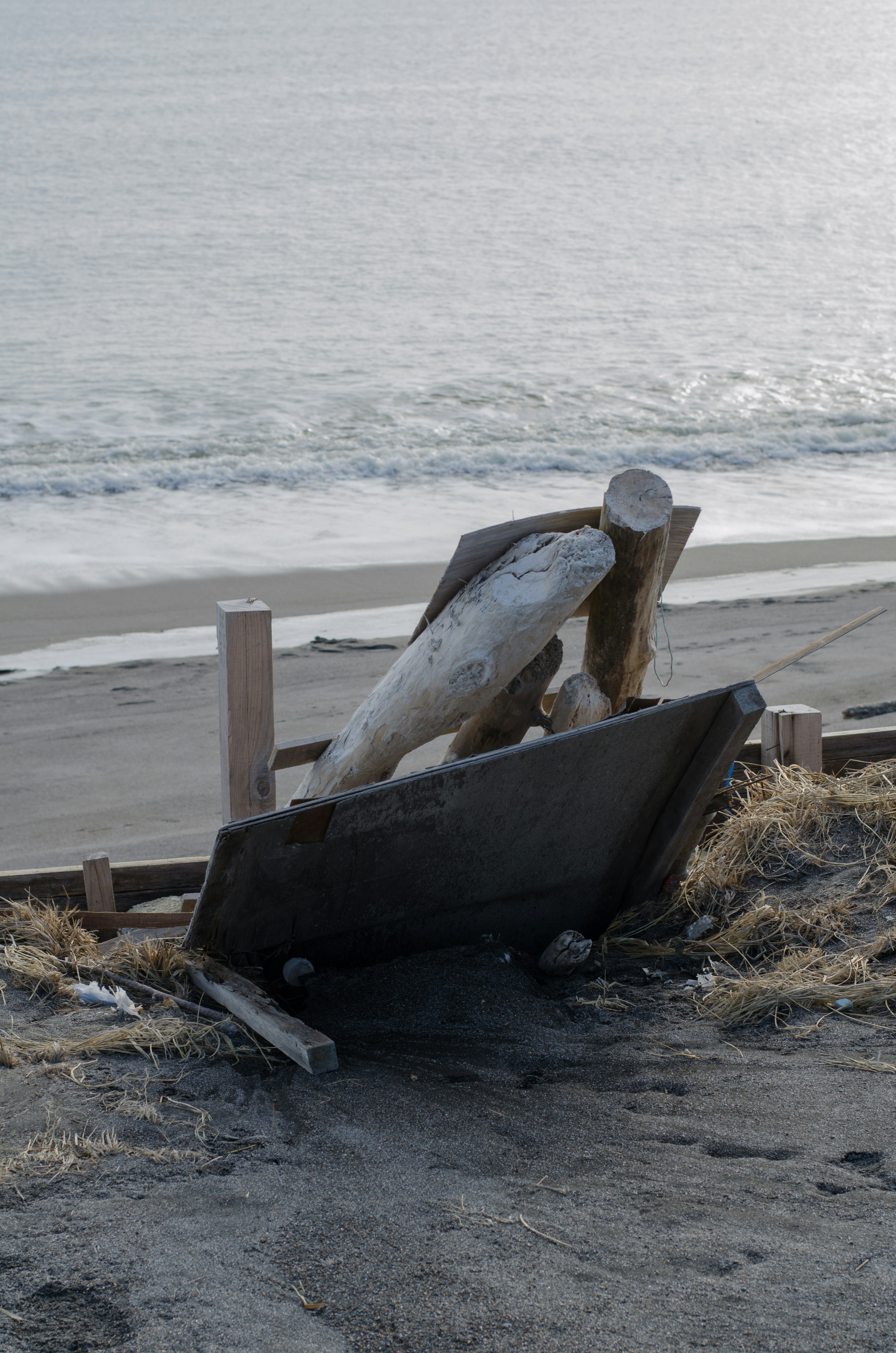 A coastal scene featuring a fish sculpture and a wooden signboard