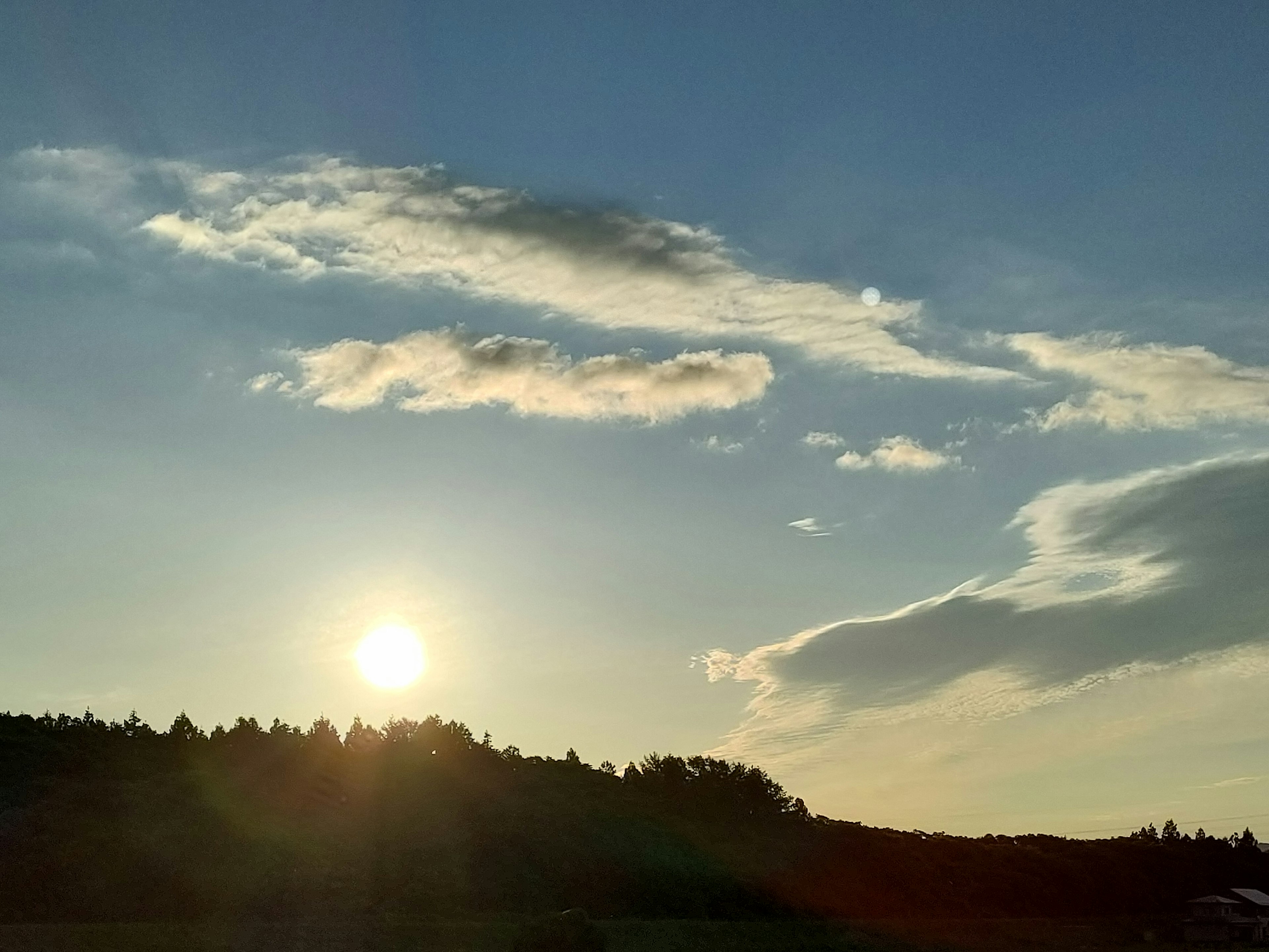 Cielo al atardecer con nubes y silueta de árboles