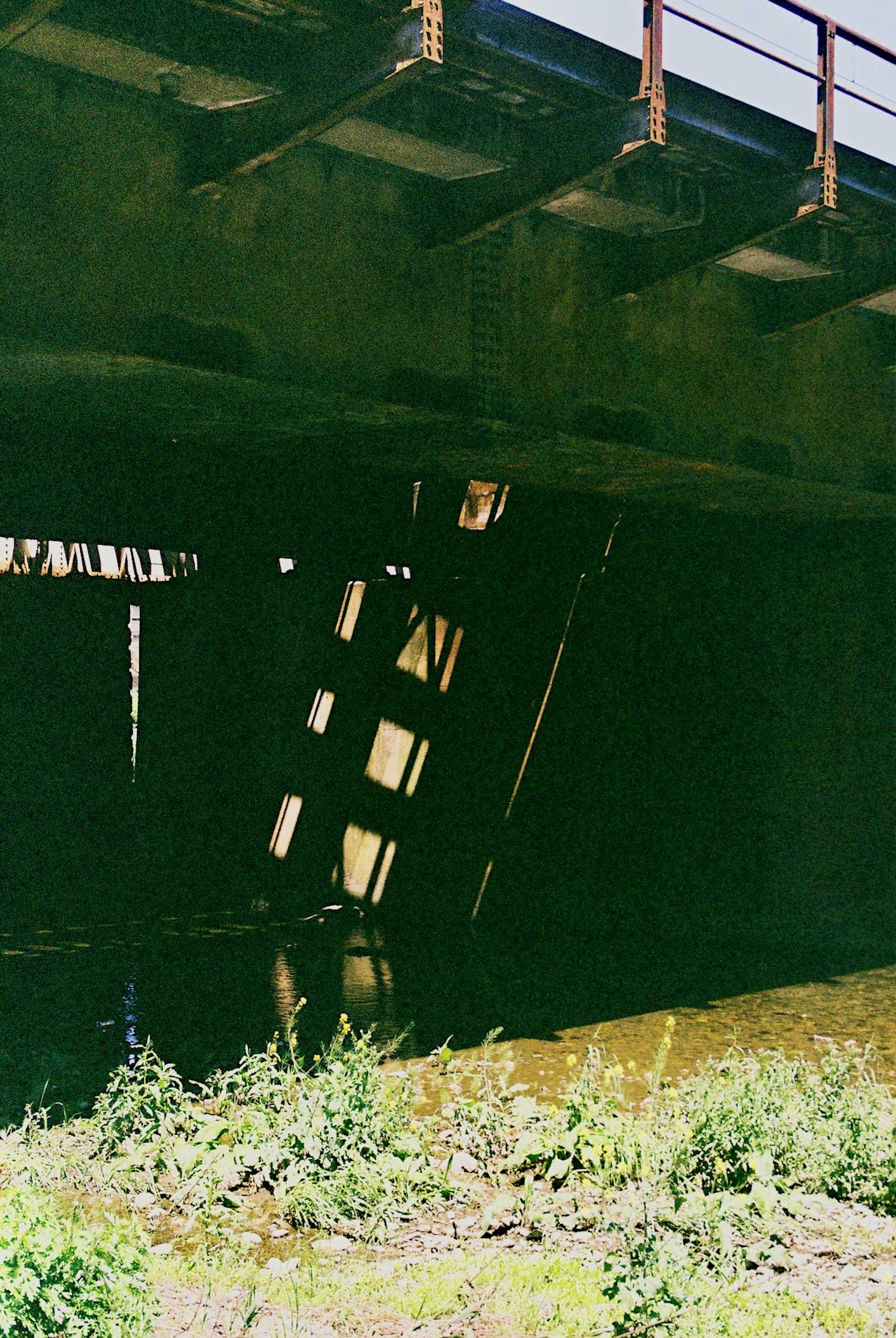 Sotto un vecchio ponte con una pozza d'acqua e erba