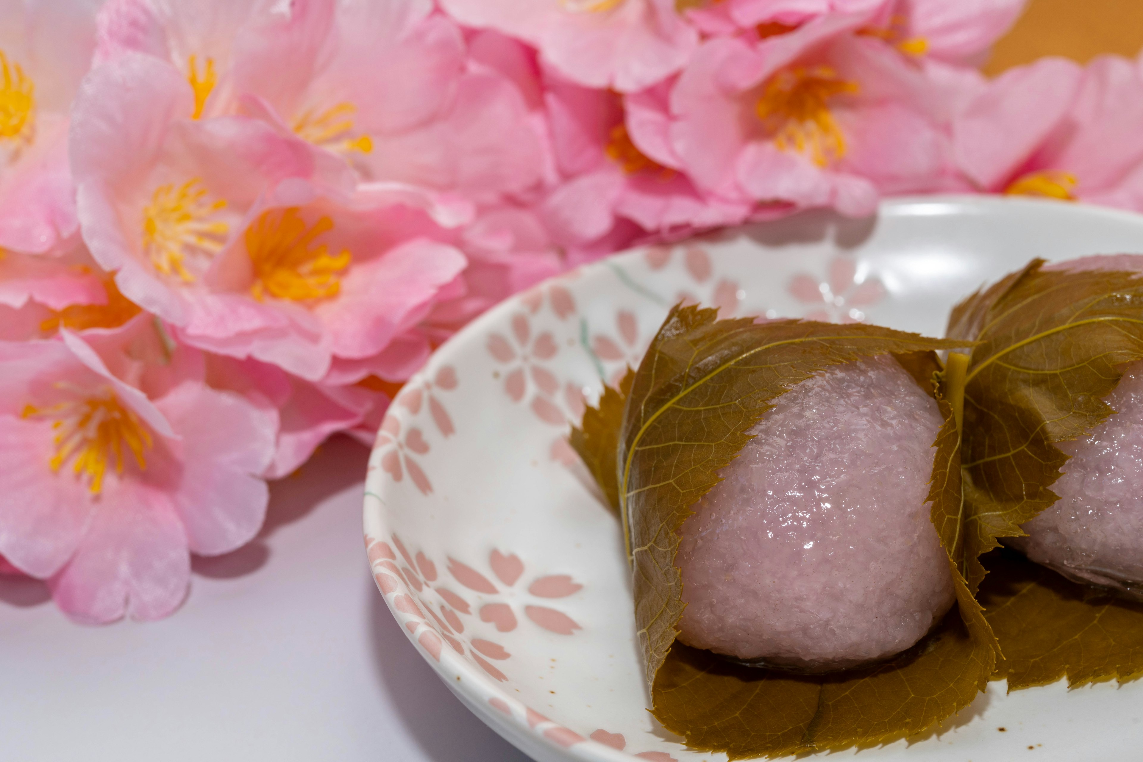 Two sakura mochi on a plate with cherry blossoms in the background