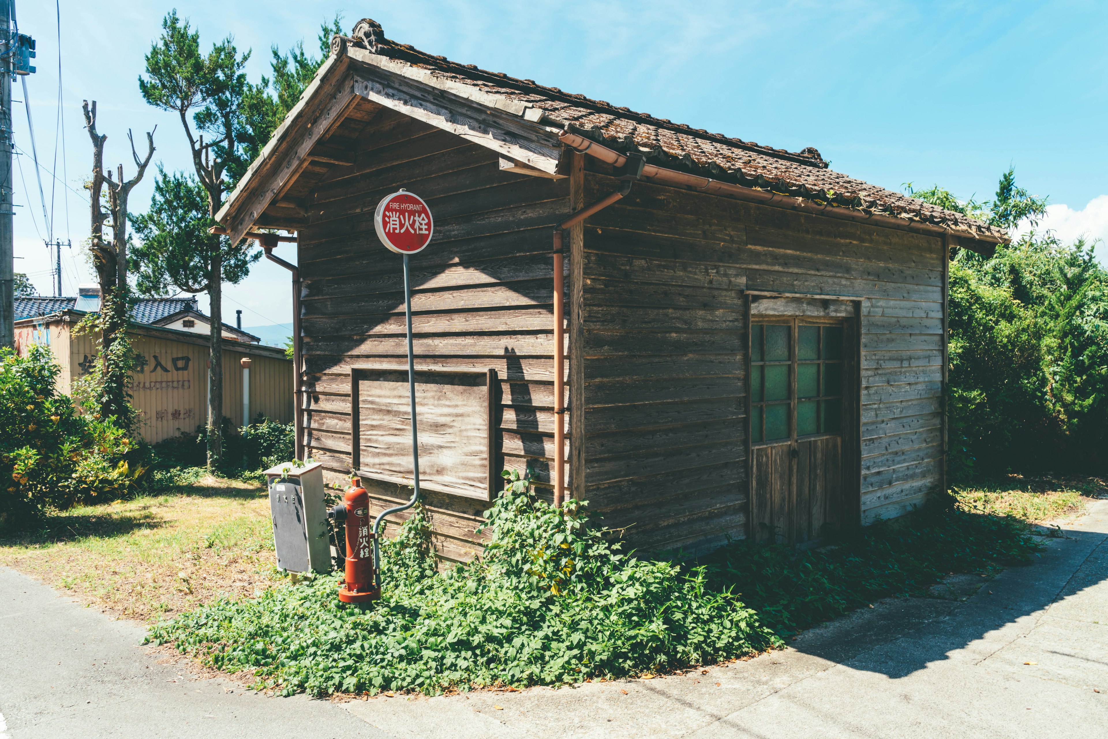 Old wooden shack surrounded by lush greenery