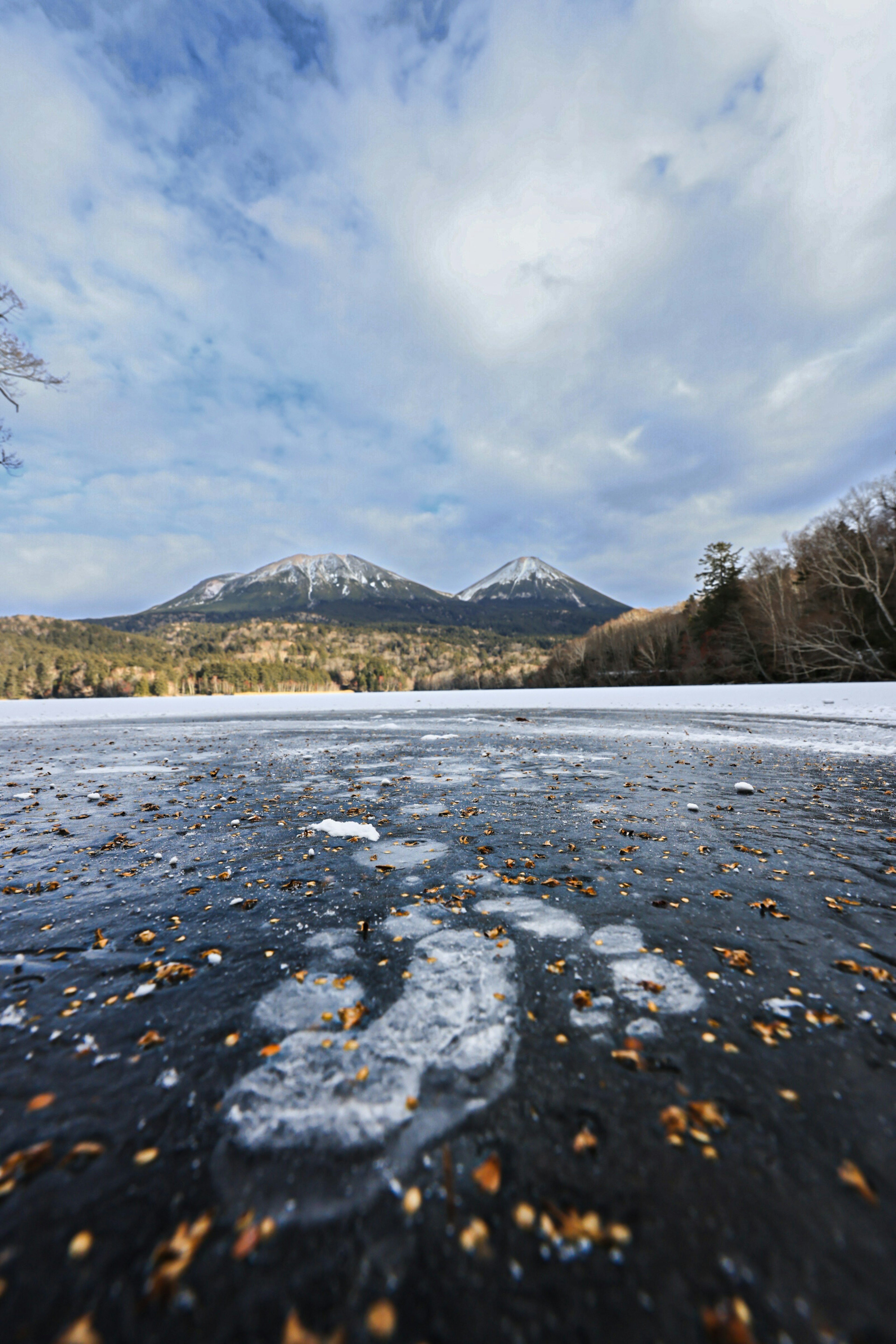 雪山和冰面上的腳印的風景