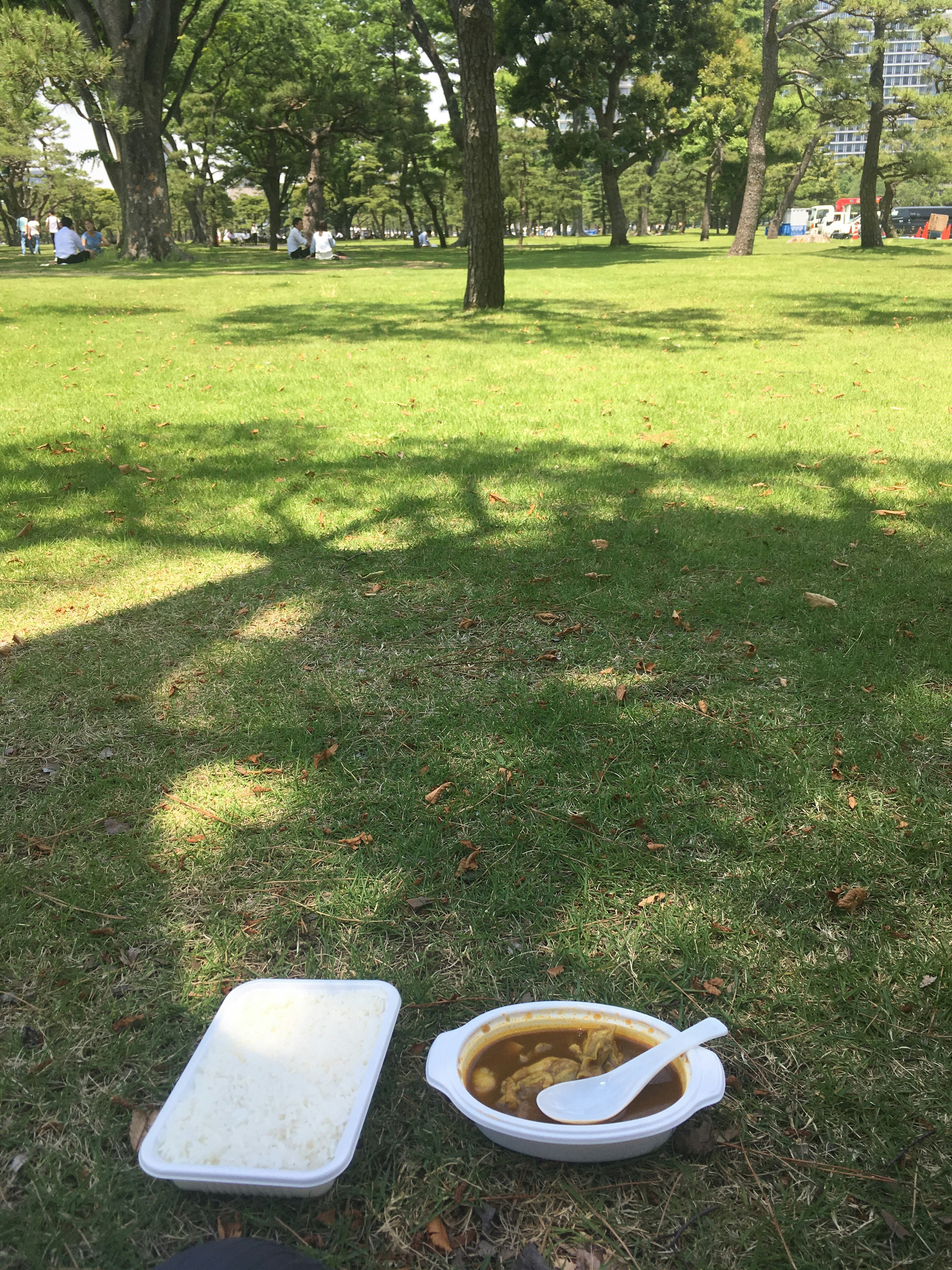 Curry und Reis auf einem weißen Teller auf dem grünen Gras in einem Park