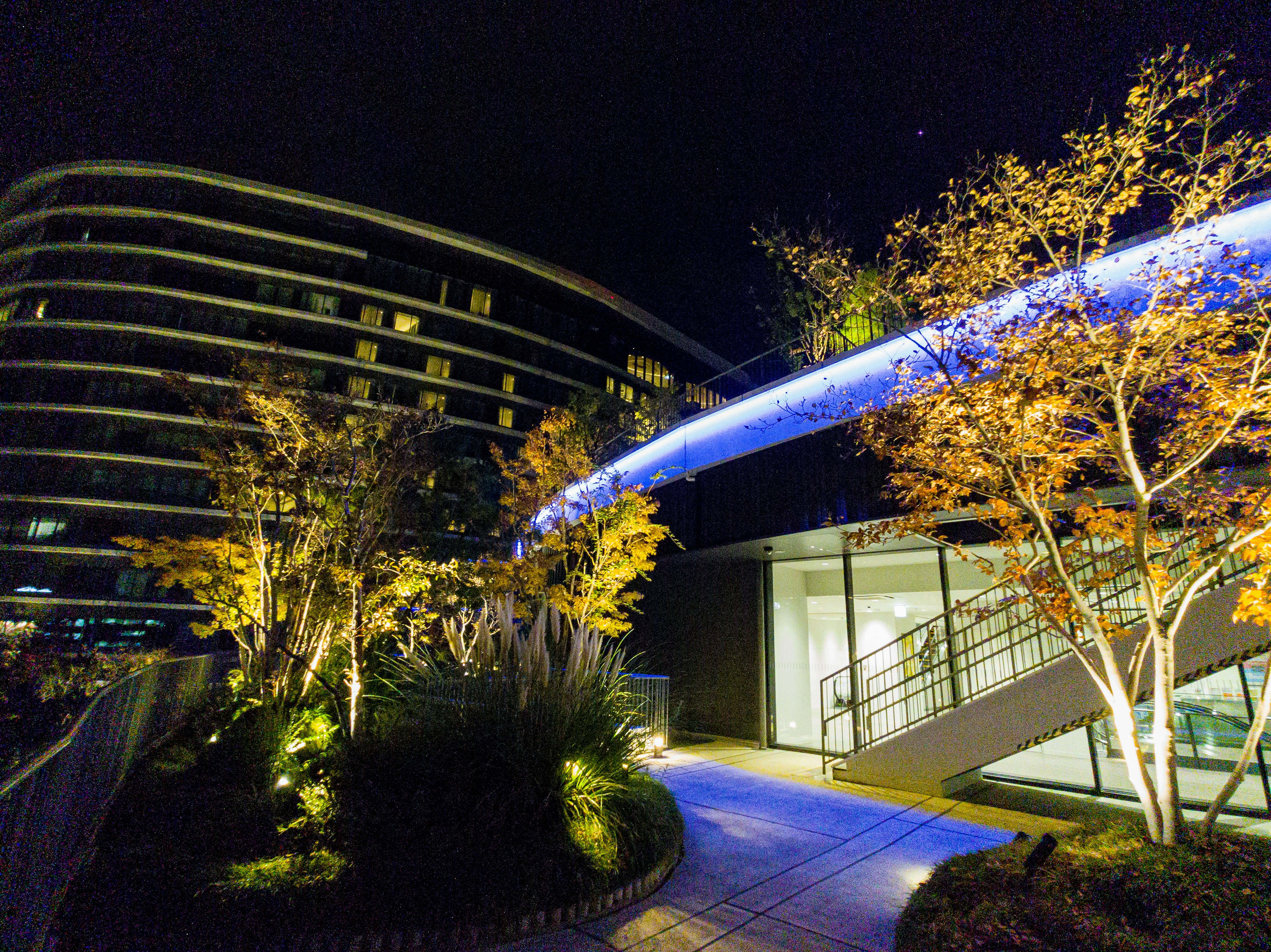 Modernes Gebäude und beleuchteter Garten in einem nächtlichen Stadtbild