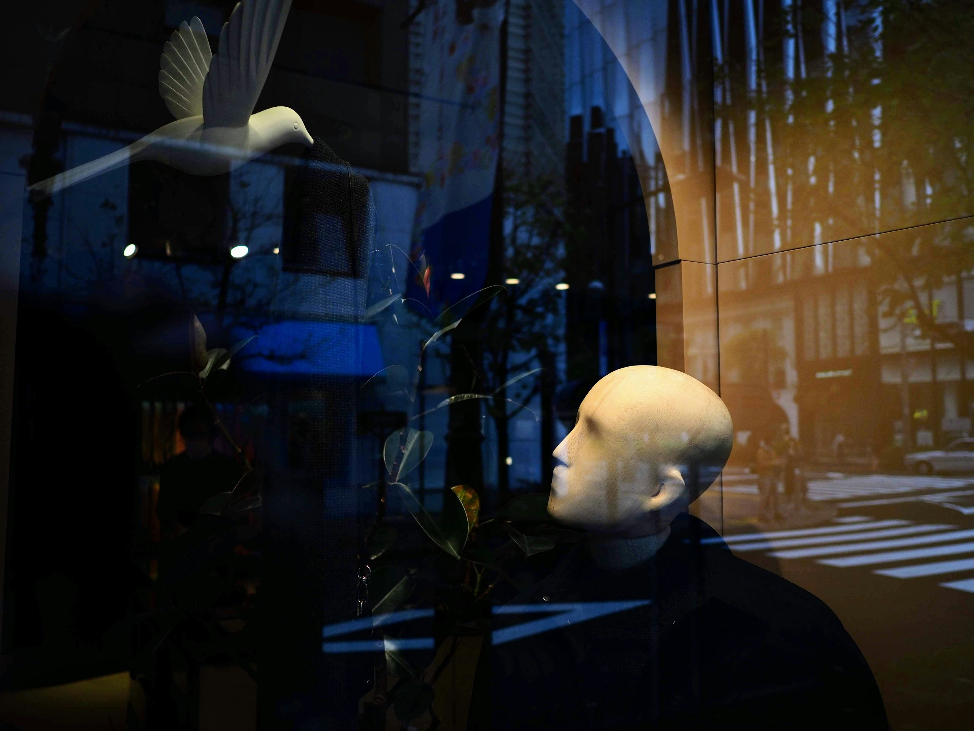 A mannequin face gazing at a white bird in flight