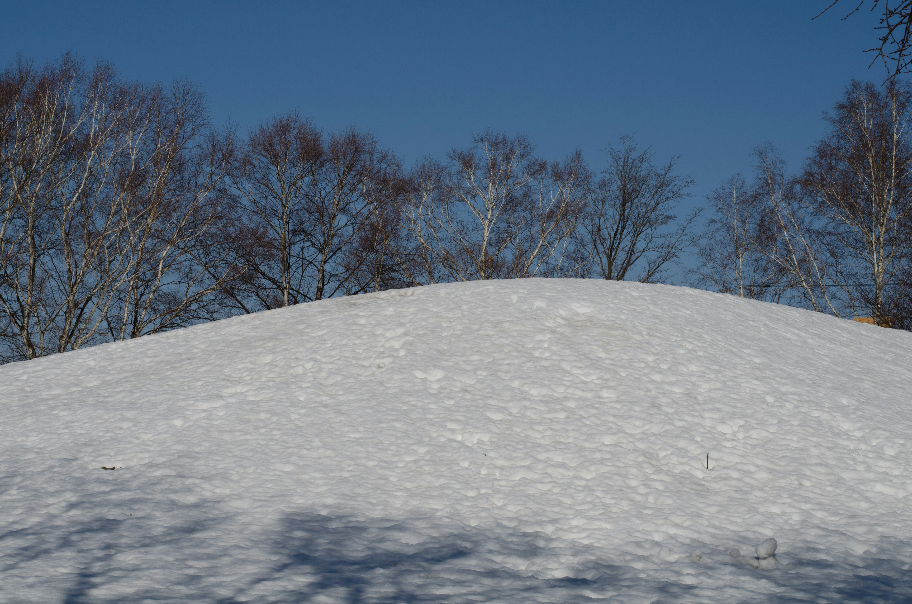 Colina cubierta de nieve bajo un cielo azul claro con siluetas de árboles