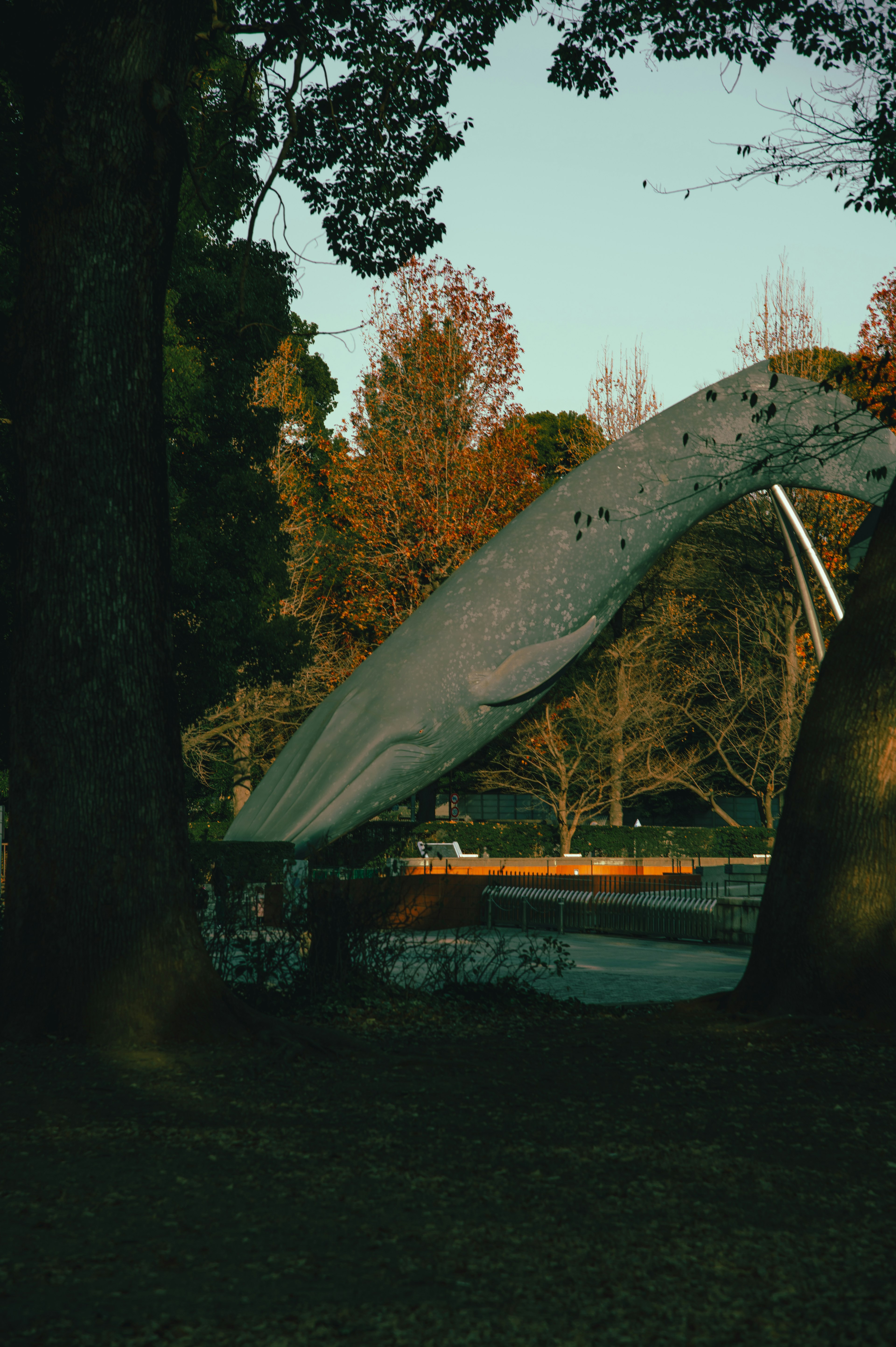 A large white object positioned between trees under a blue sky