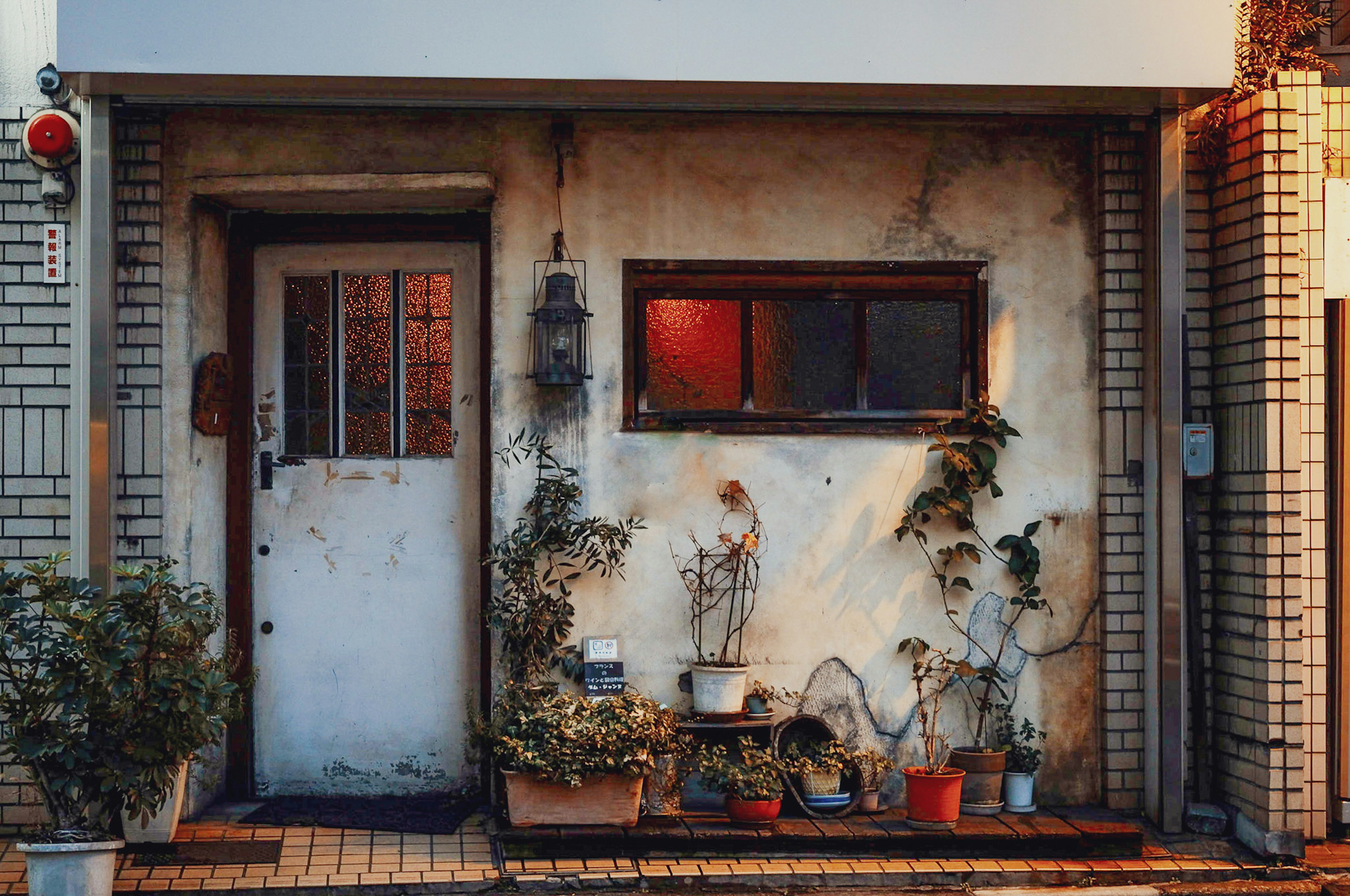 Entrance of an old house adorned with plants