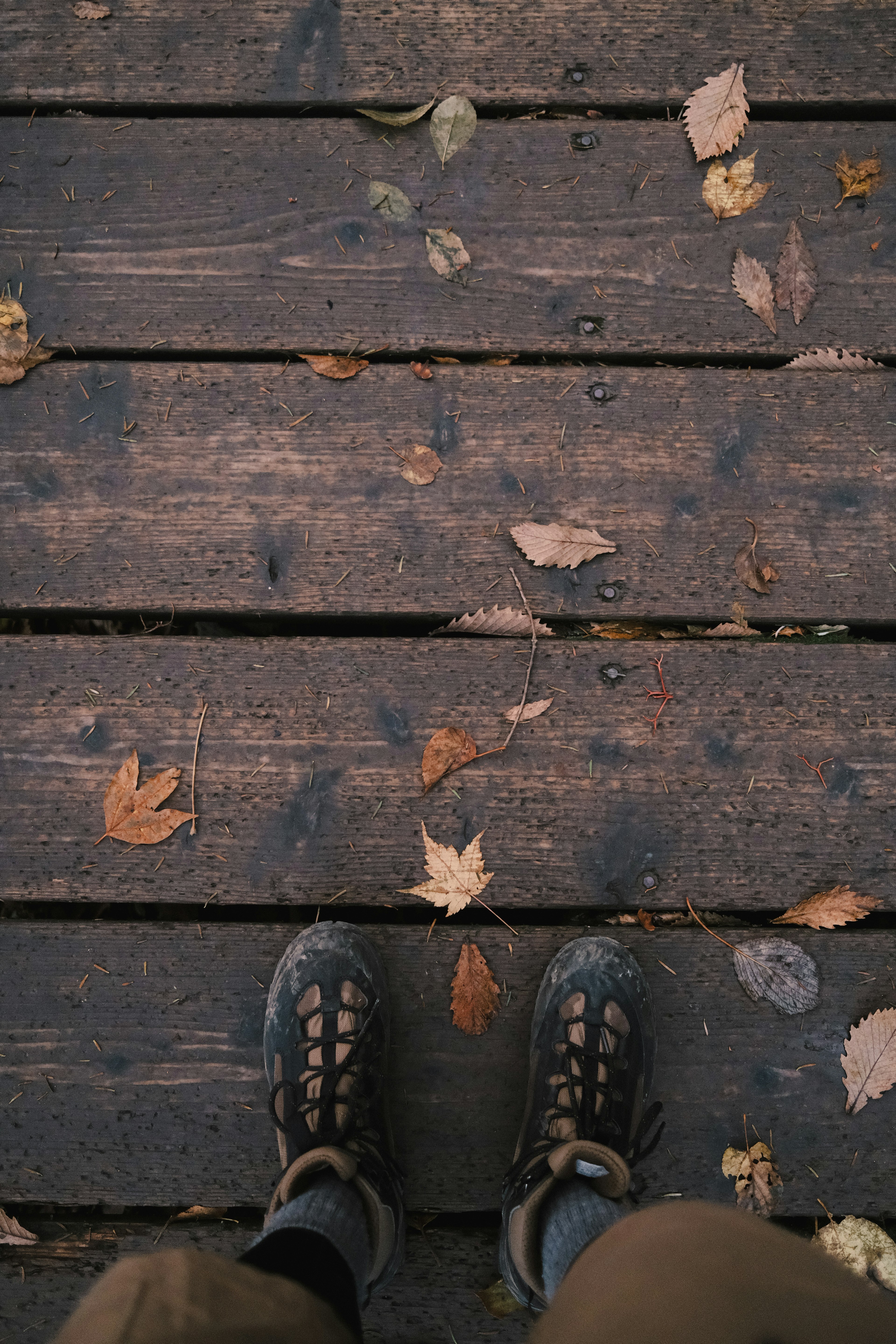 Feet in hiking boots on wooden deck with scattered autumn leaves