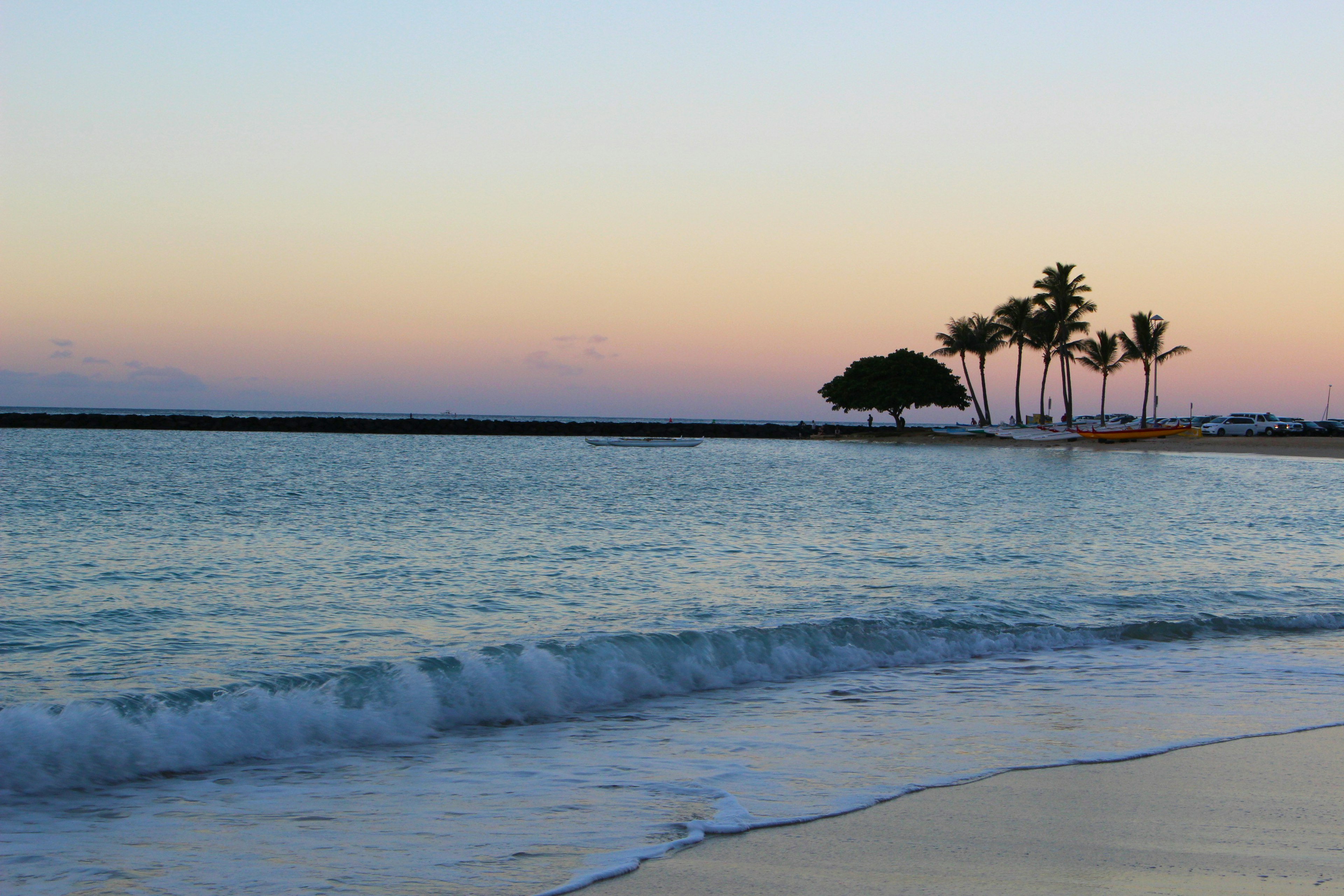 Scène de coucher de soleil sur la côte avec des vagues douces et des palmiers au loin