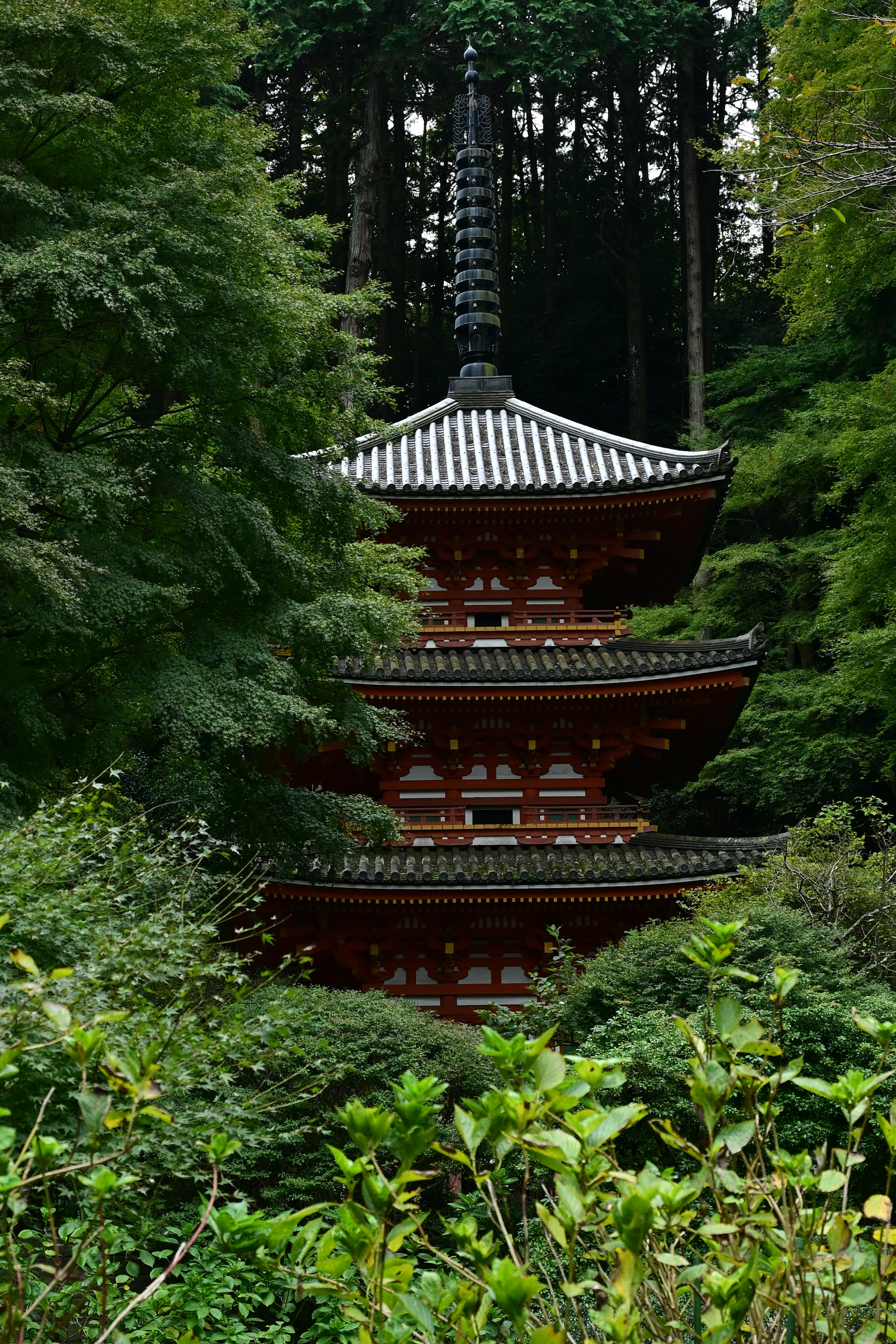 Una bella pagoda a cinque piani circondata da una vegetazione lussureggiante