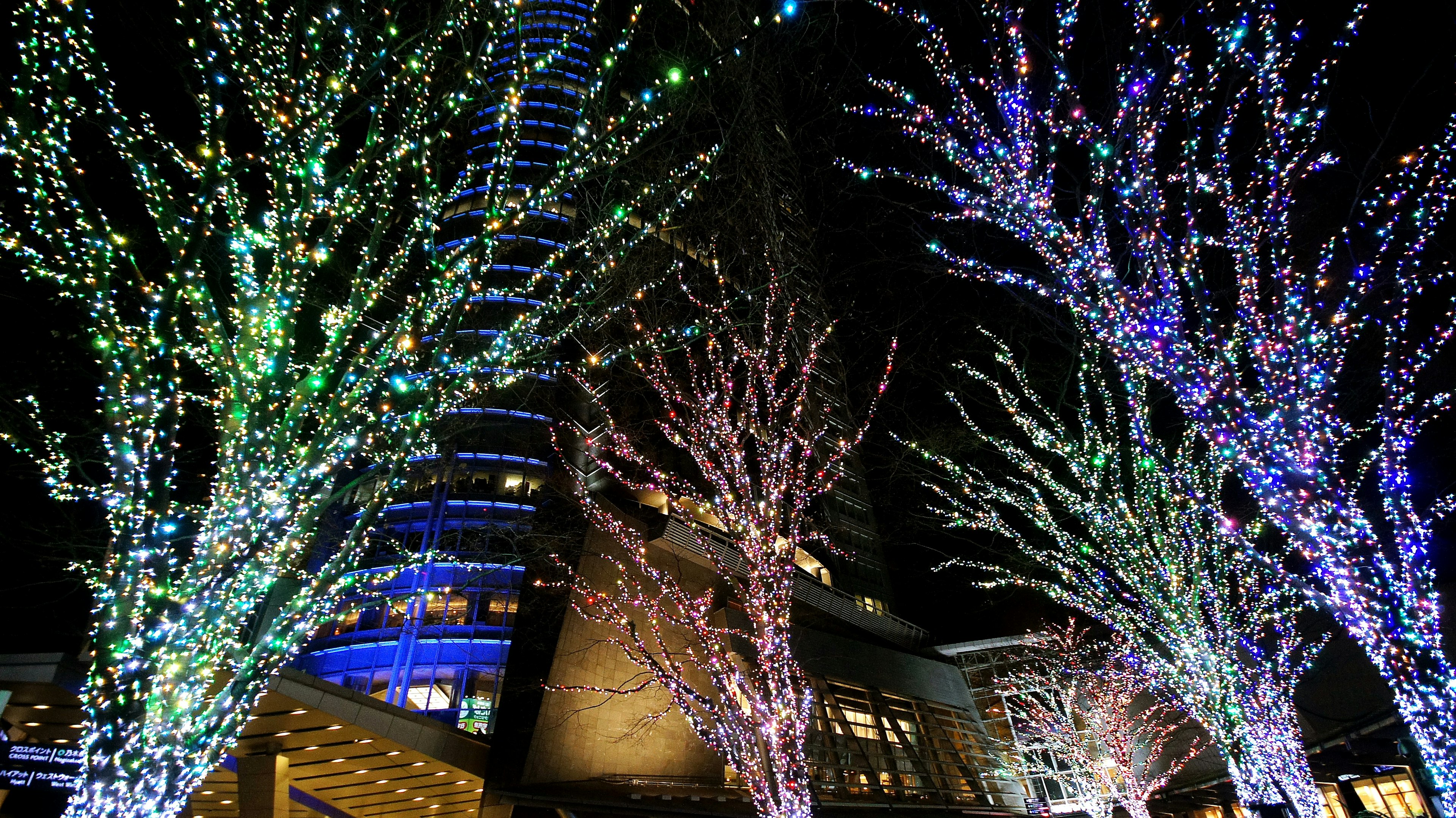 Illuminated trees and building in a night cityscape