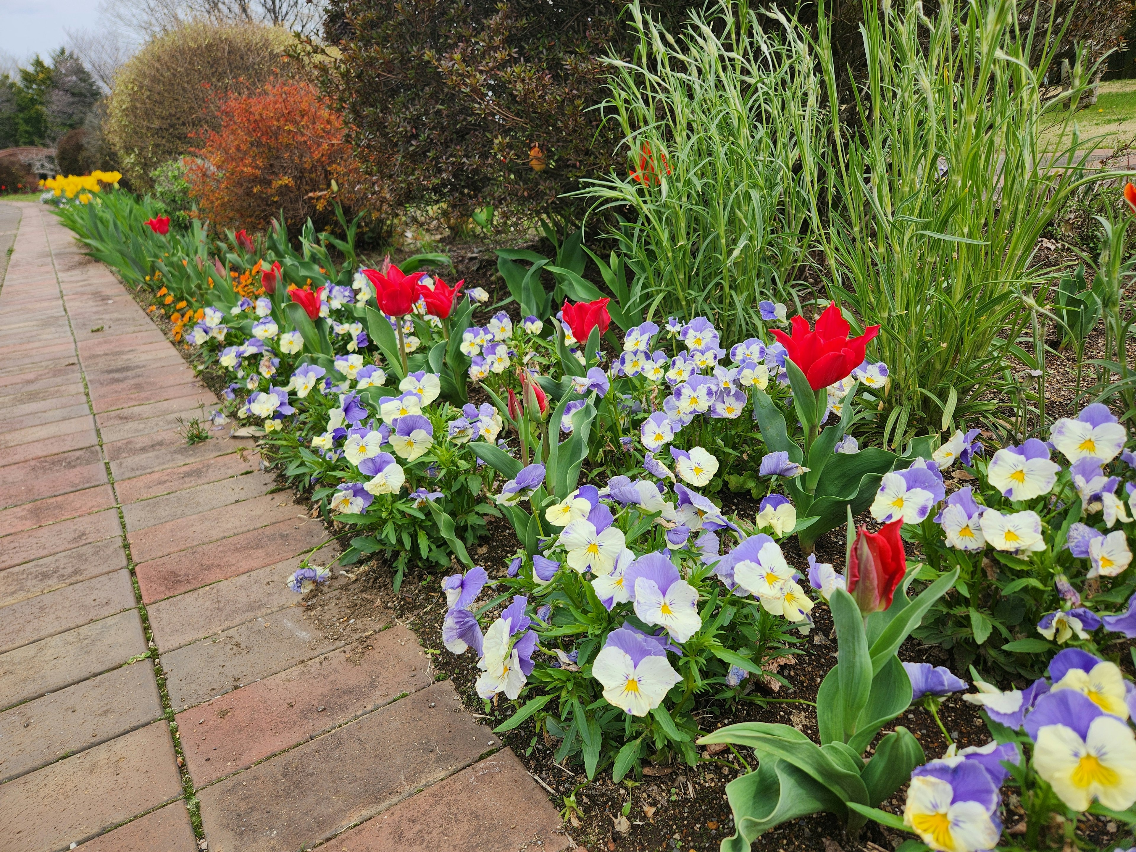 Jardin de fleurs colorées le long d'un chemin en briques