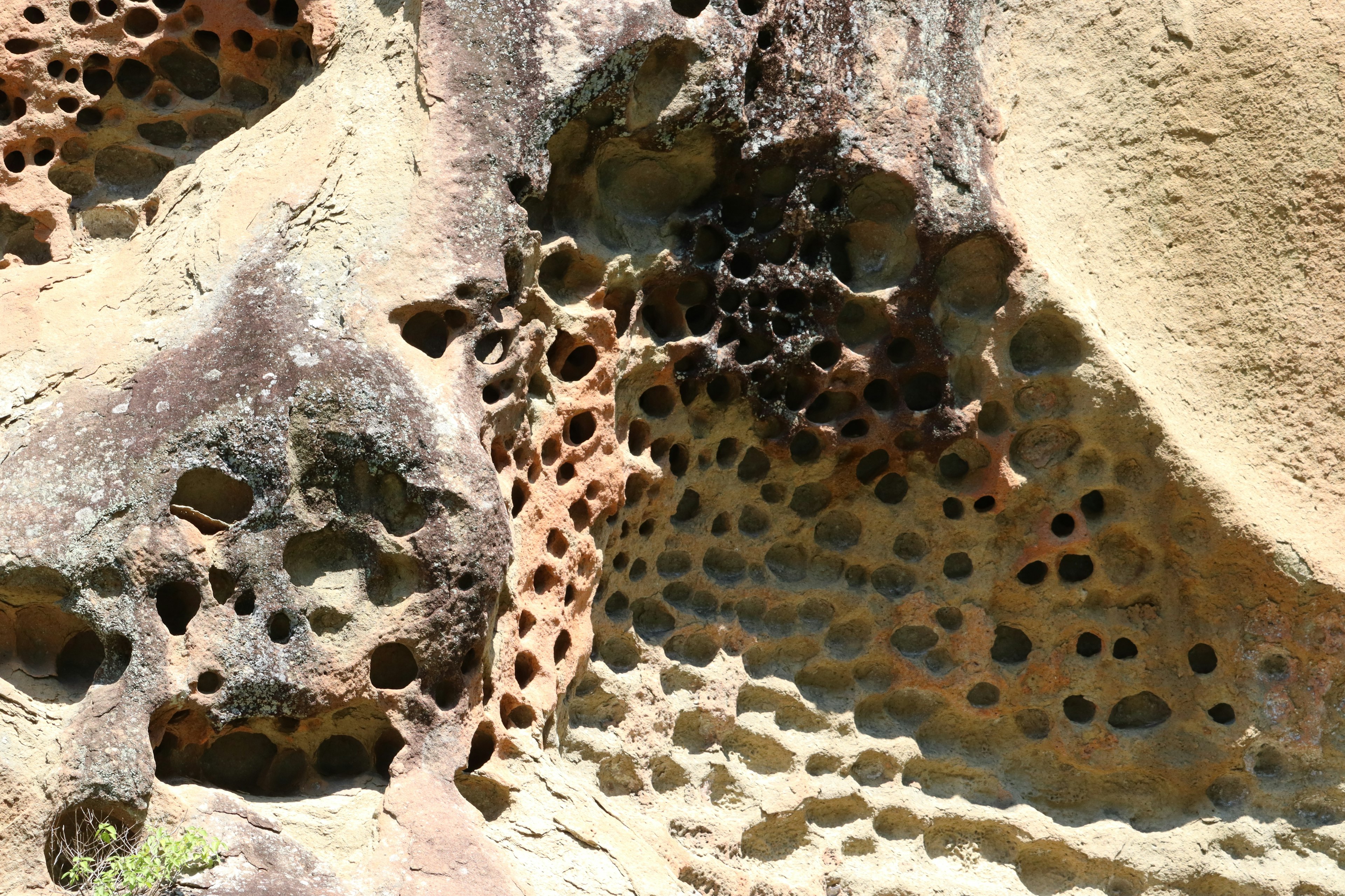 Rock surface featuring honeycomb-like patterns and holes