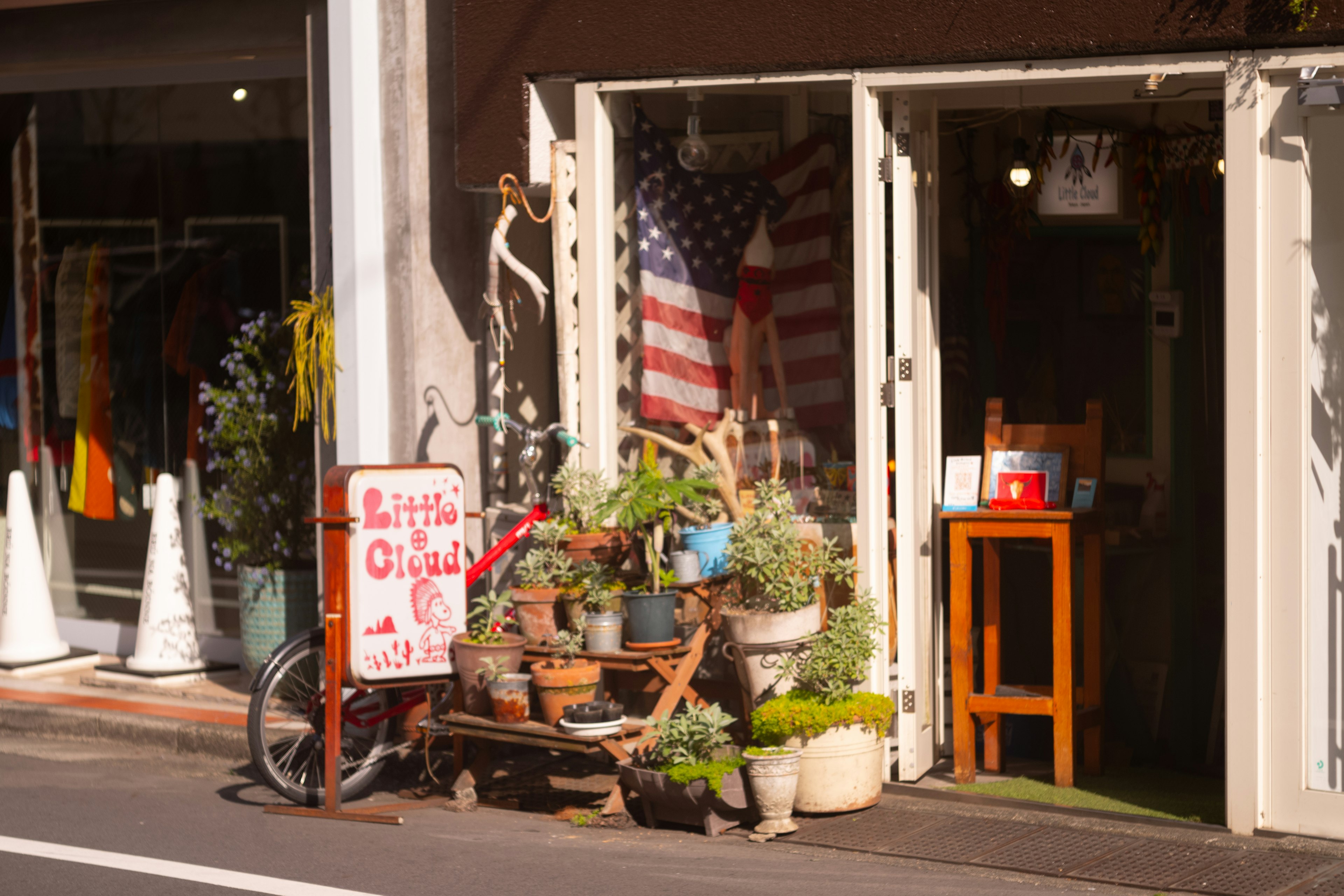 Entrata di un caffè con piante grasse in vaso e una bandiera americana visibile