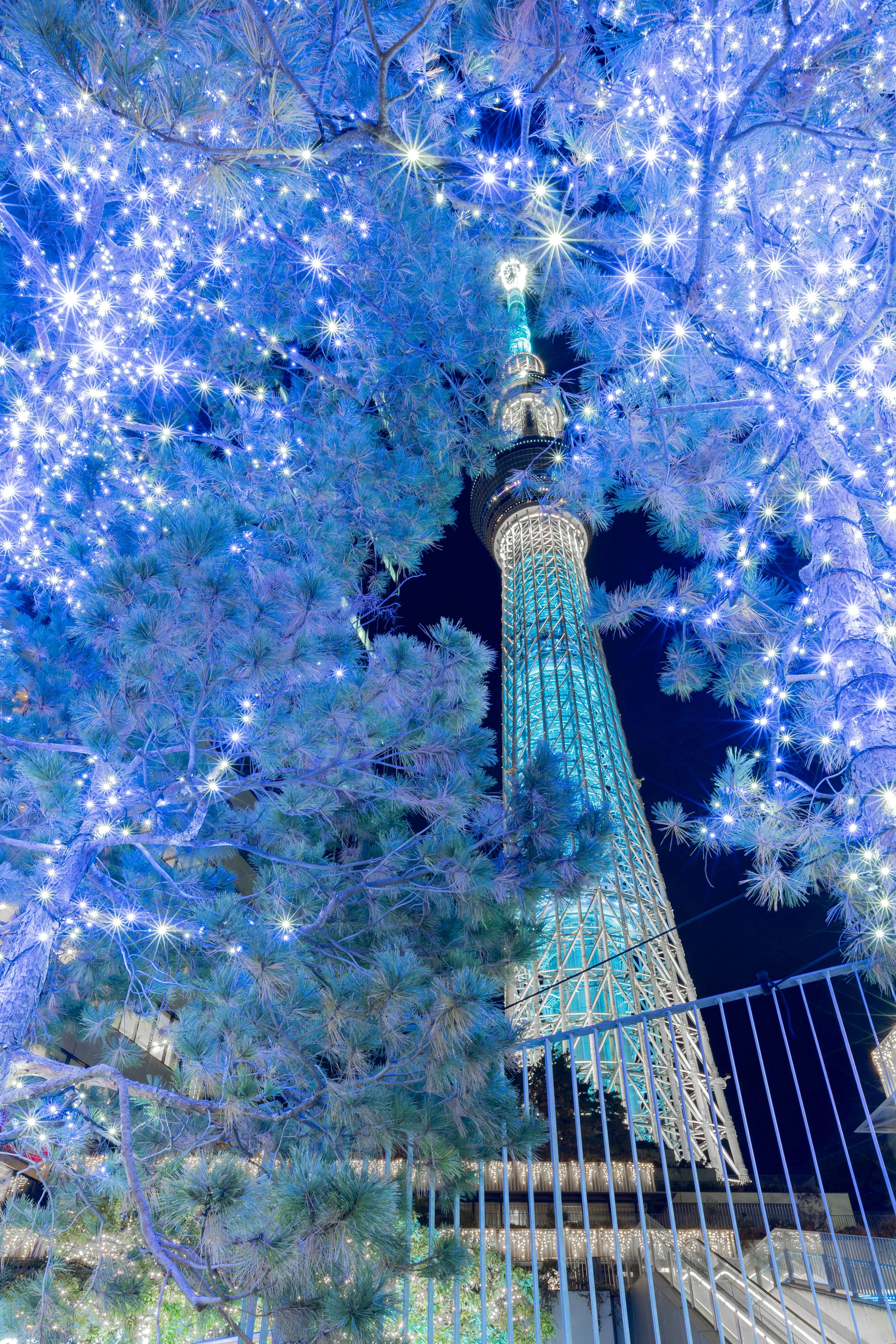 Tokyo Skytree được chiếu sáng bằng đèn xanh bao quanh bởi cây cối vào ban đêm