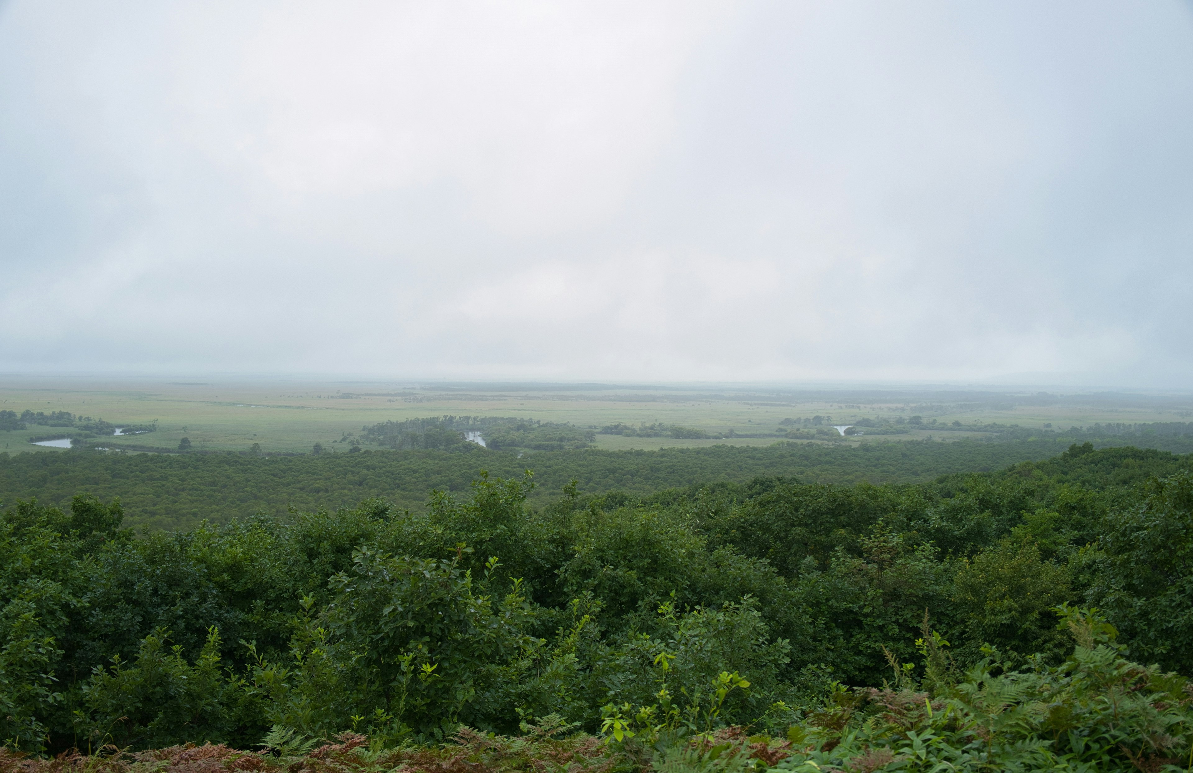 Vast green landscape shrouded in mist with distant village