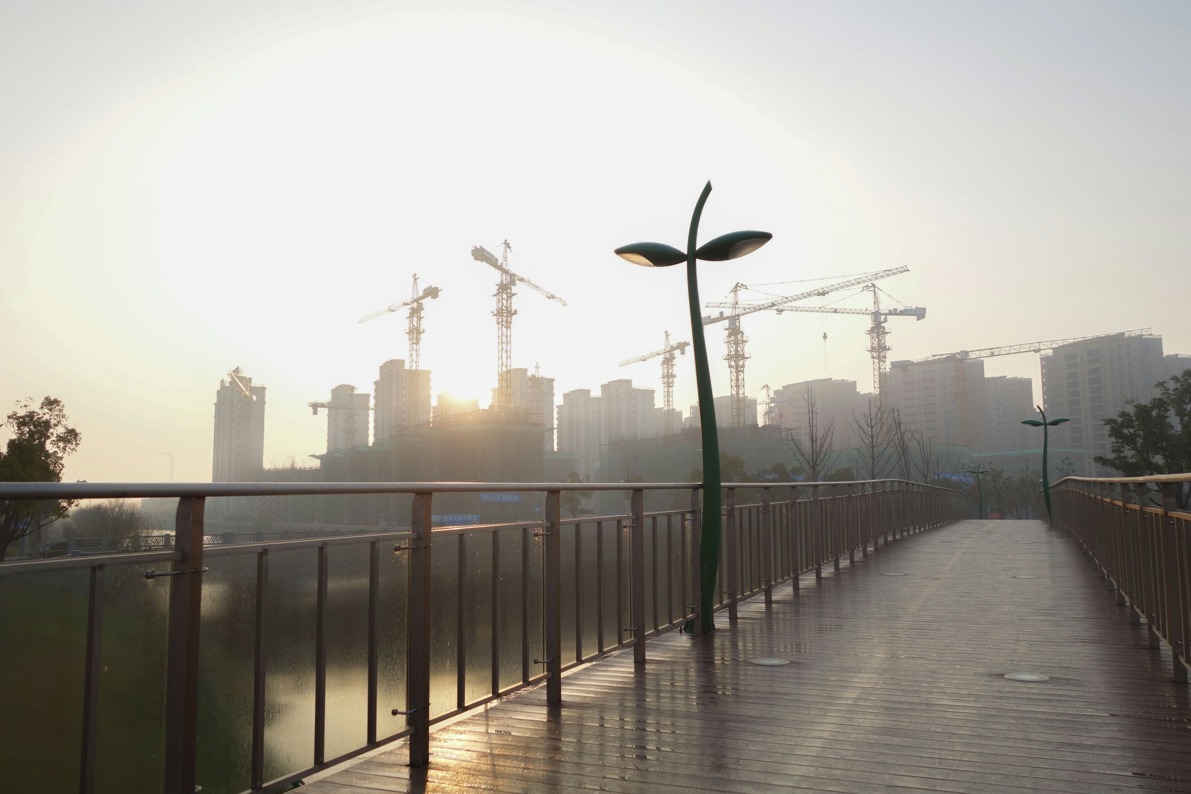 Camino con farolas modernas y grúas de construcción al atardecer