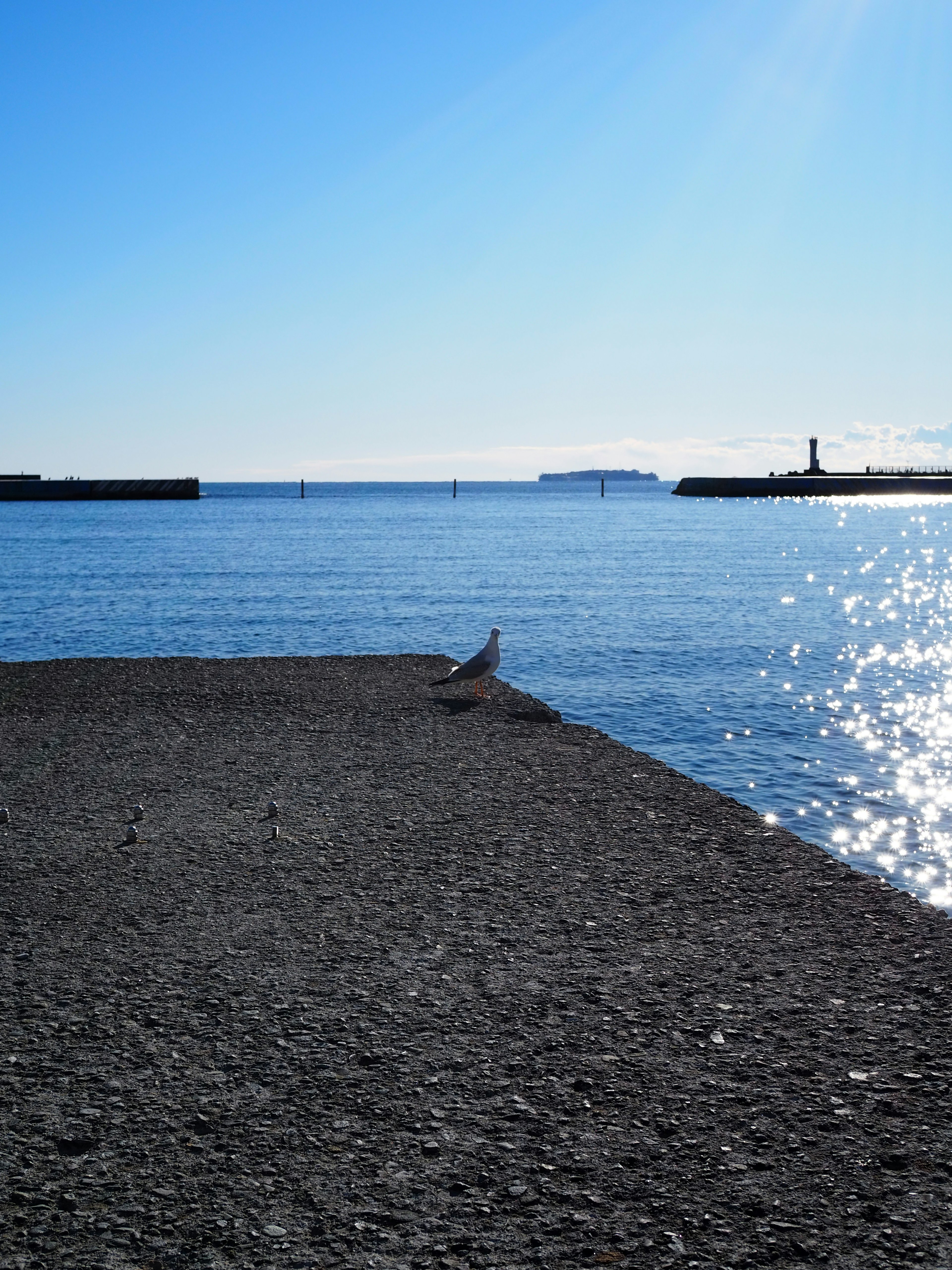 Un muelle de piedra bajo un cielo azul con un pájaro posado