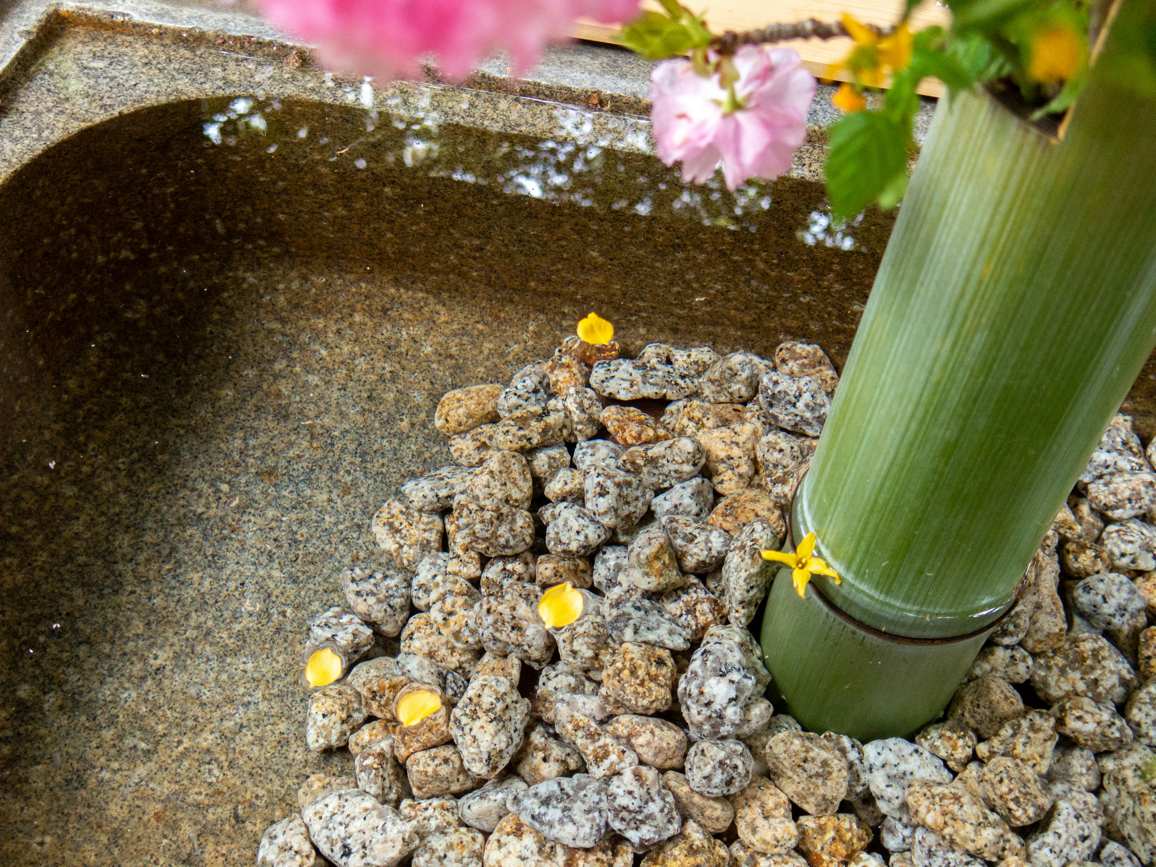 Paisaje de una fuente con una columna de bambú rodeada de piedras y flores amarillas