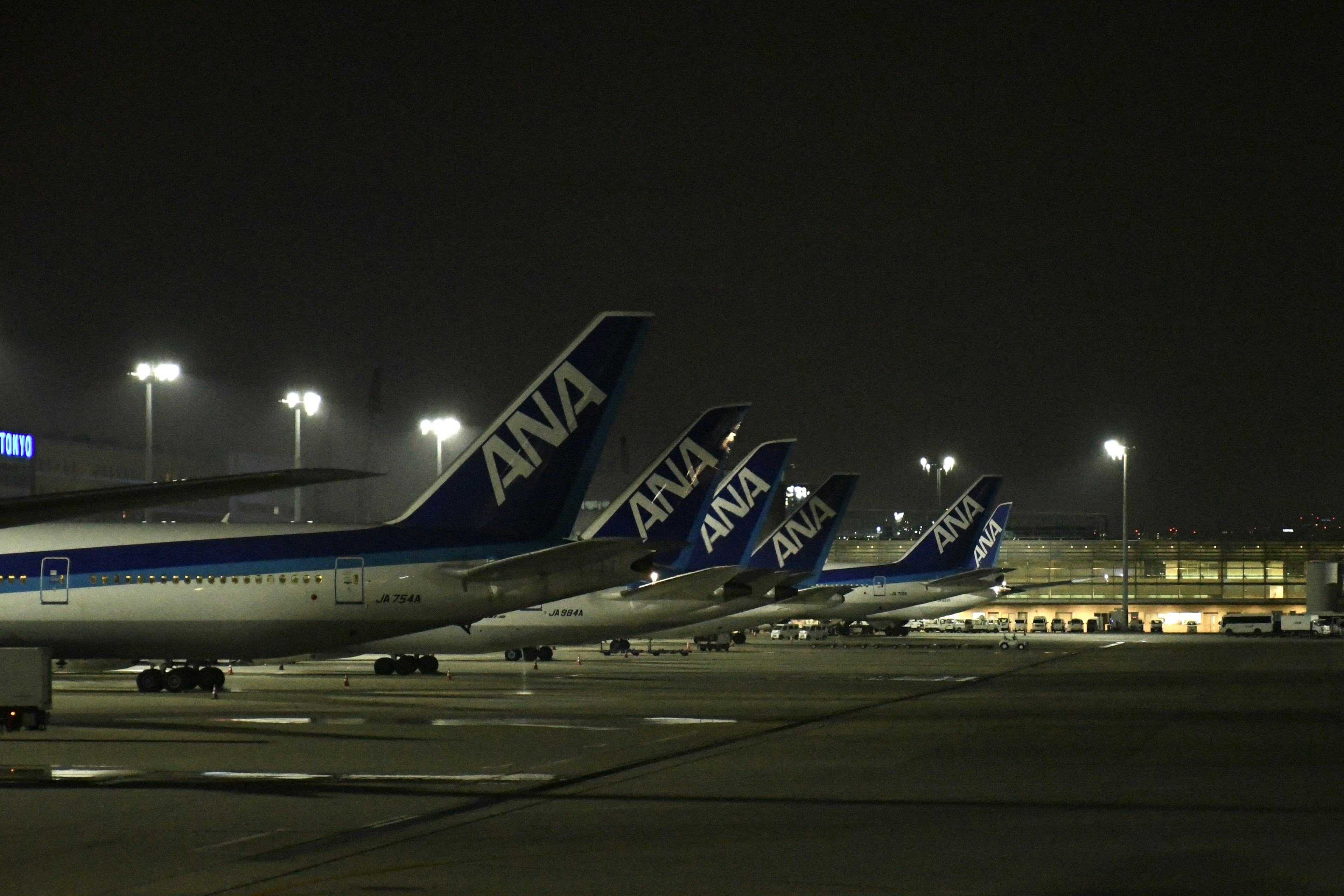 Tail fins of ANA airplanes lined up at night at the airport