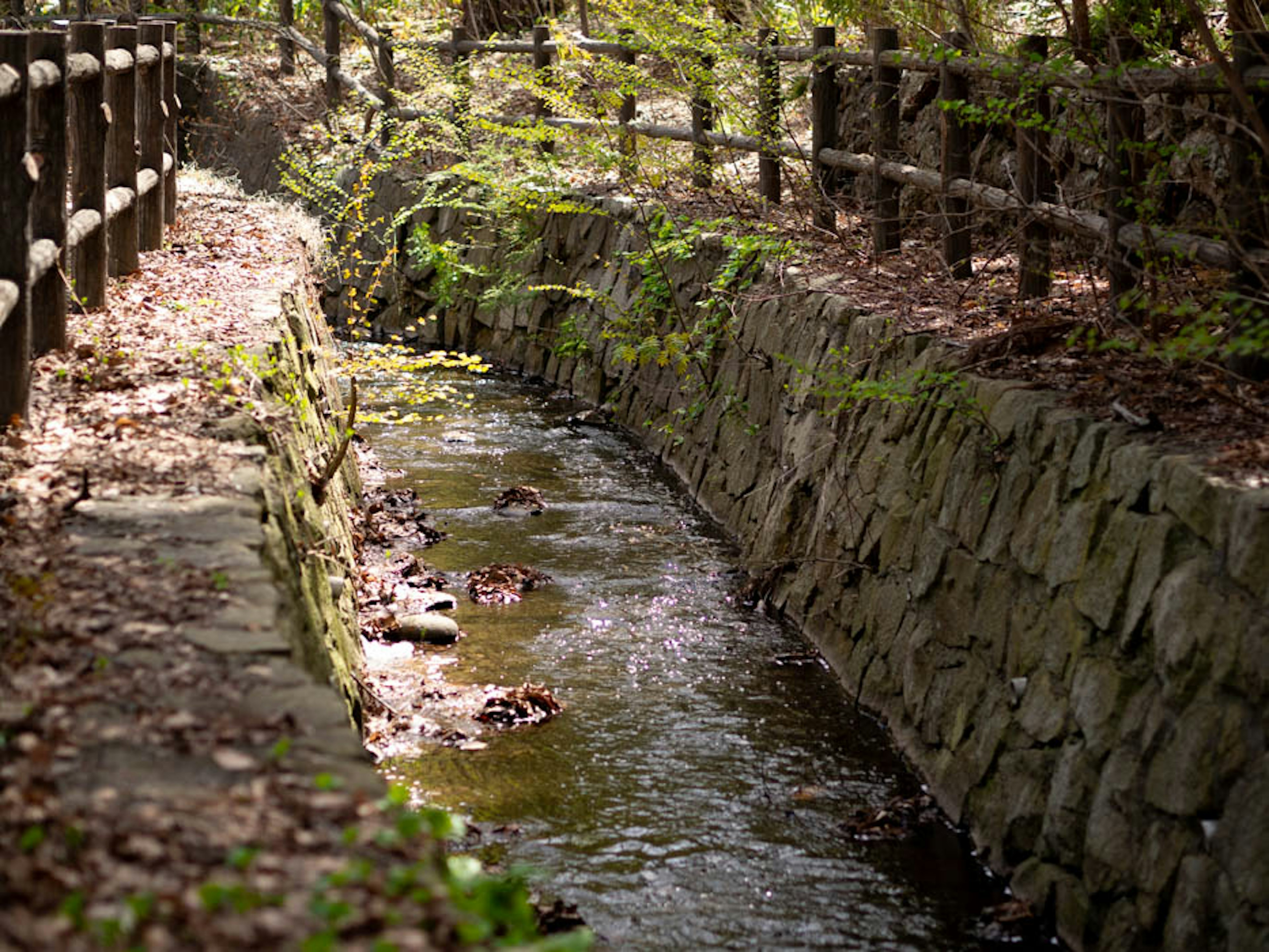 Ein ruhiger Weg mit einem Bach und einer Steinmauer