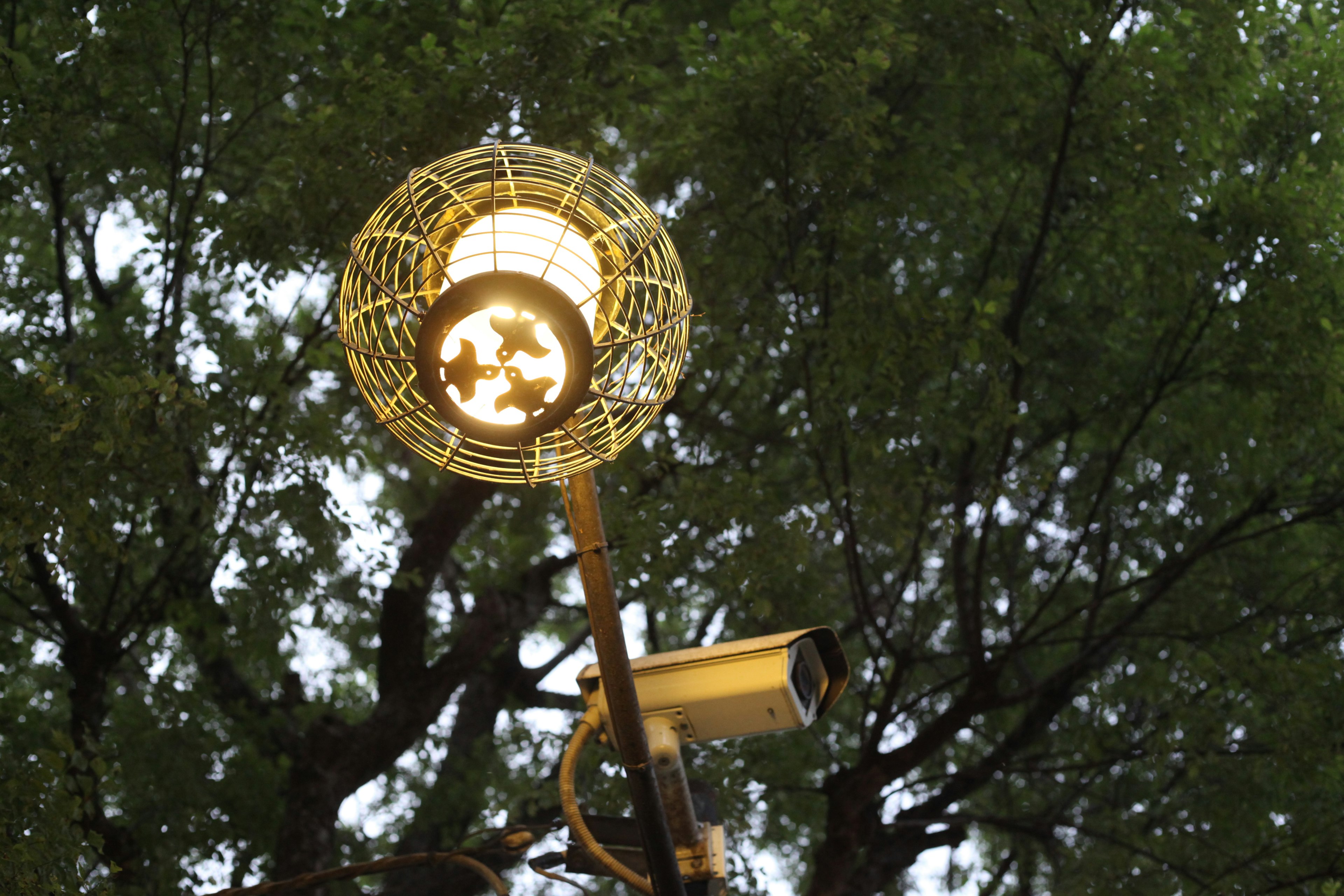 Bright light from a street lamp with a security camera surrounded by green trees