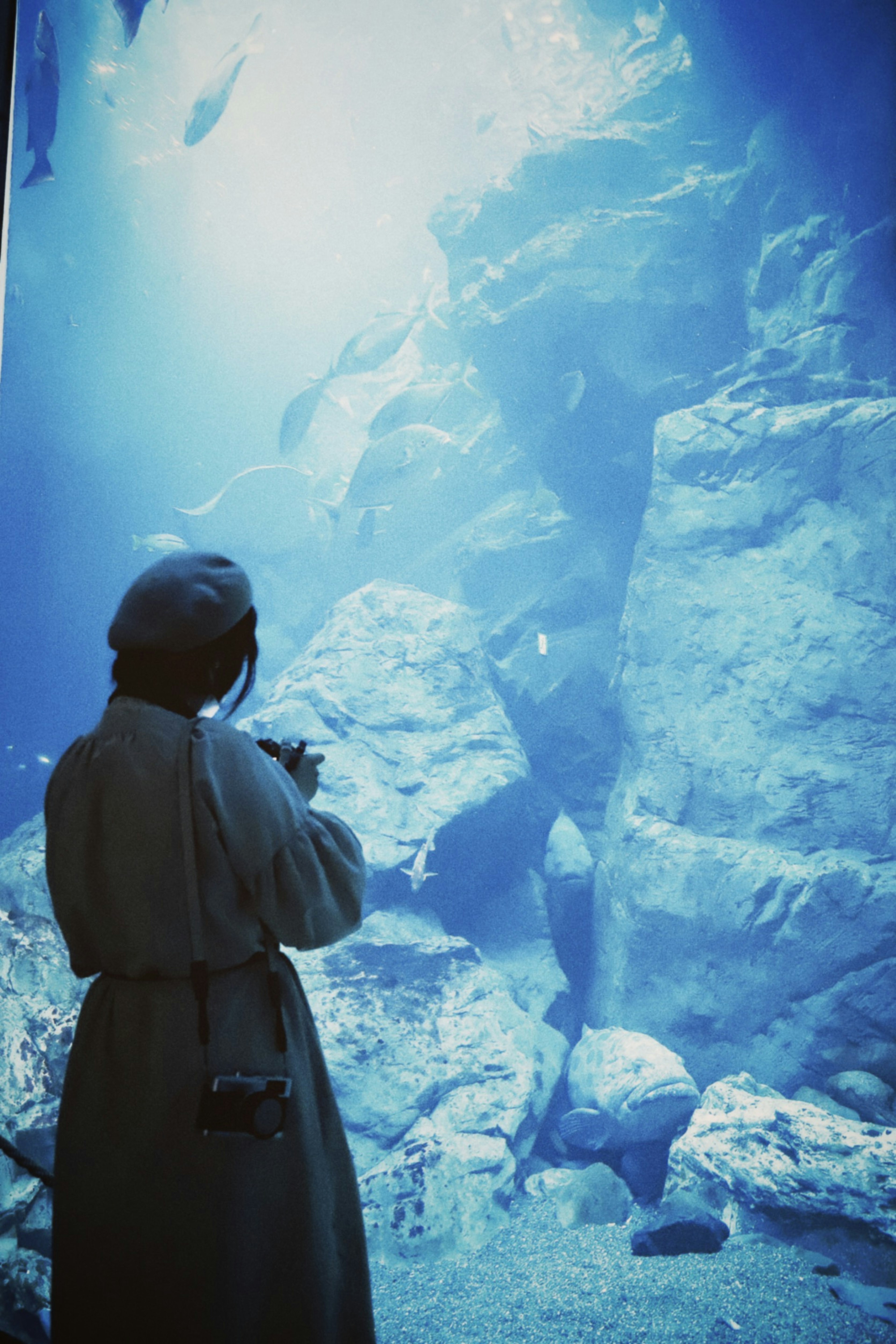 水族館の水槽の前に立つ人物と青い水の背景