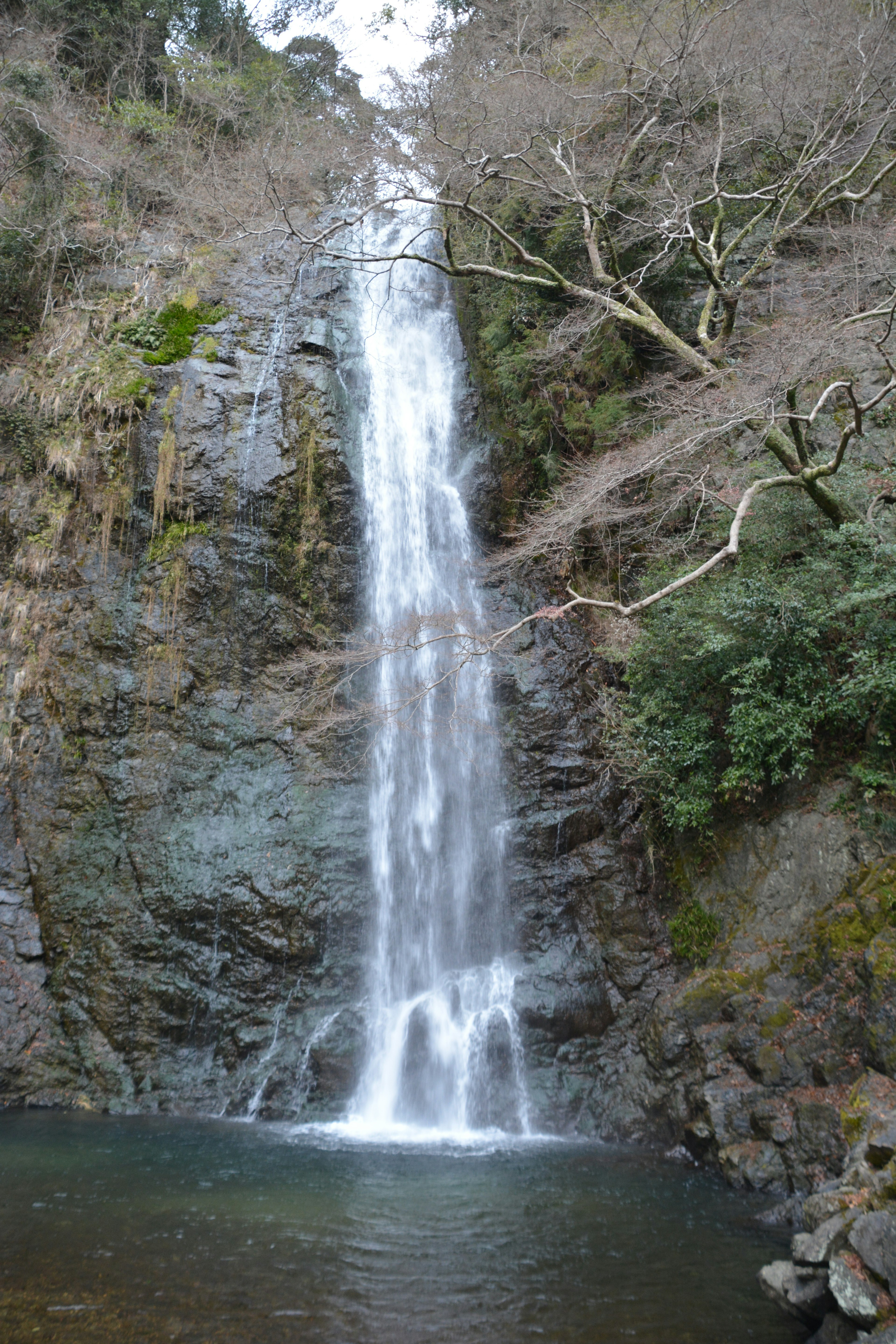 Una bellissima cascata che scende da scogliere rocciose