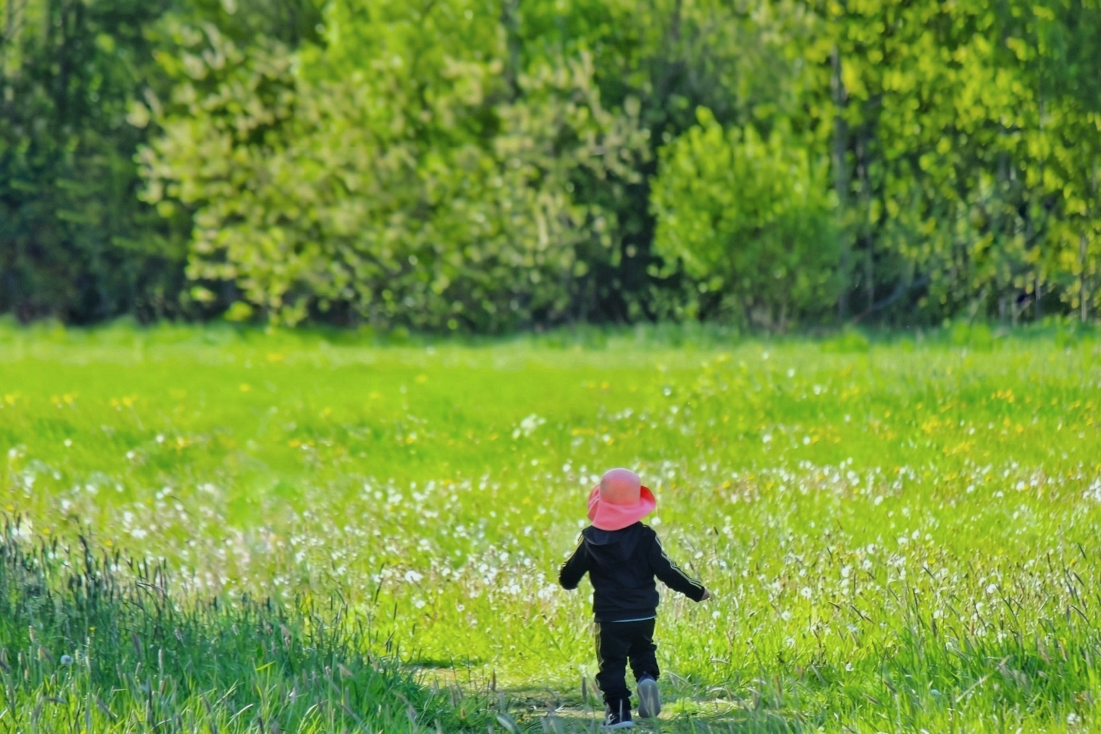 Child walking in a green meadow wearing a pink hat and black clothing