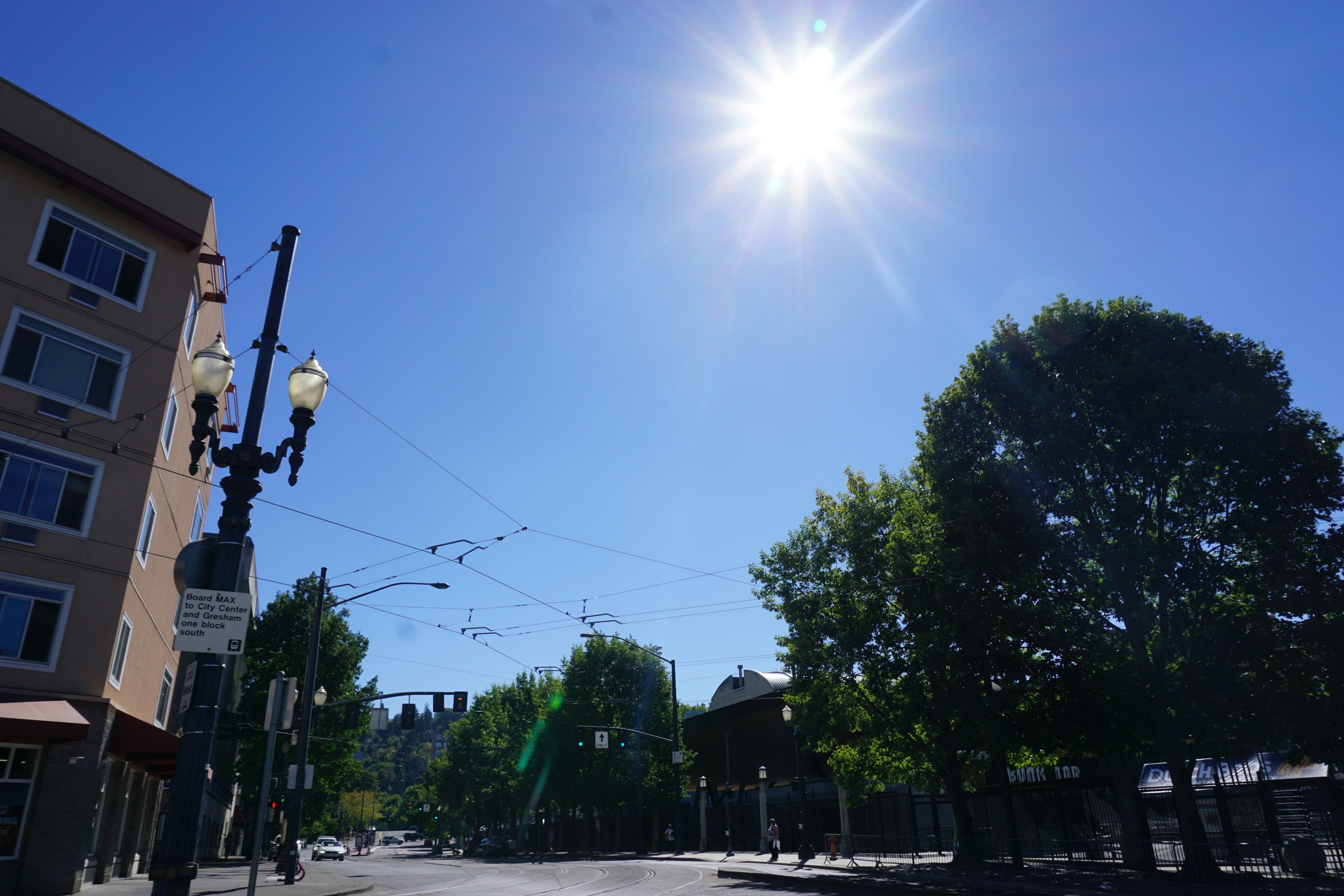 Bright sun in a clear blue sky over a city street with trees