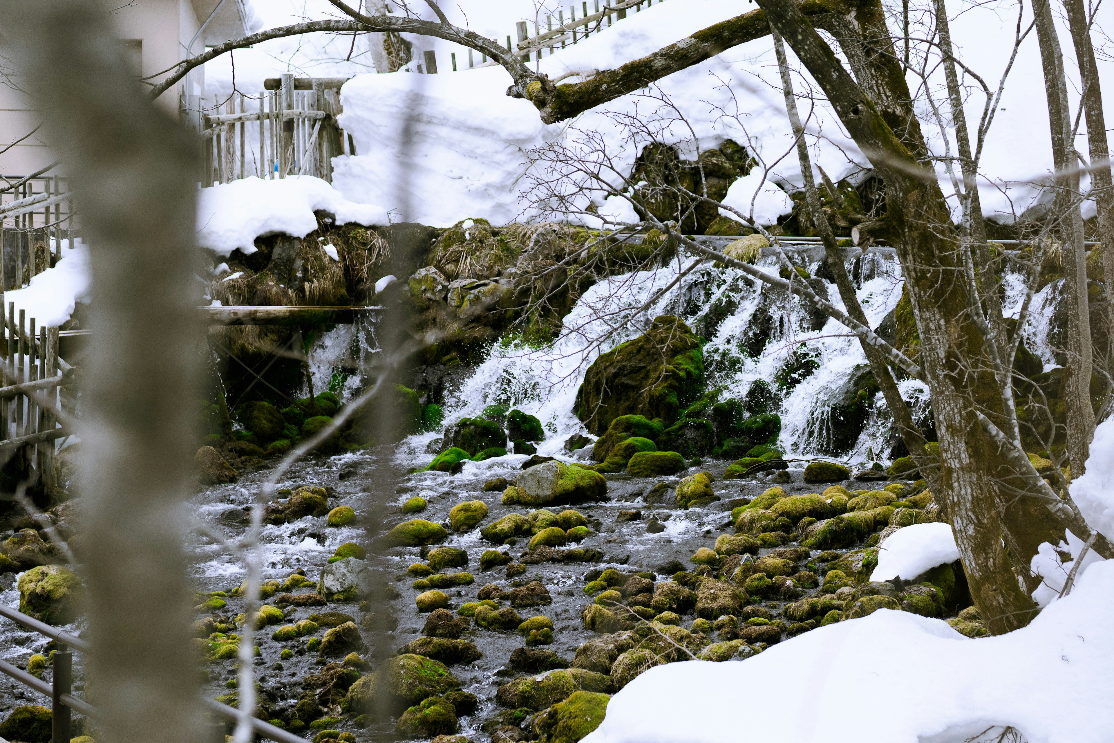 Un ruscello e una cascata in un paesaggio innevato con muschio verde e rocce visibili