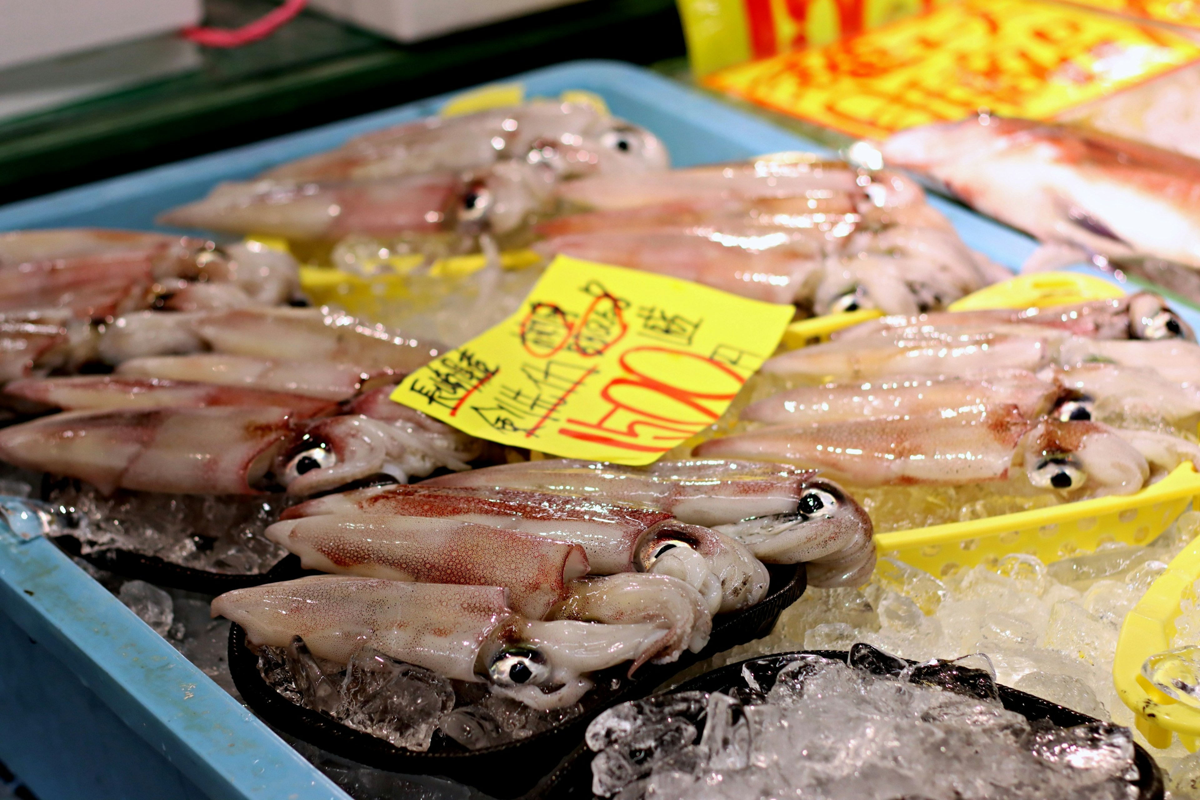 Calamares frescos exhibidos sobre hielo en un mercado