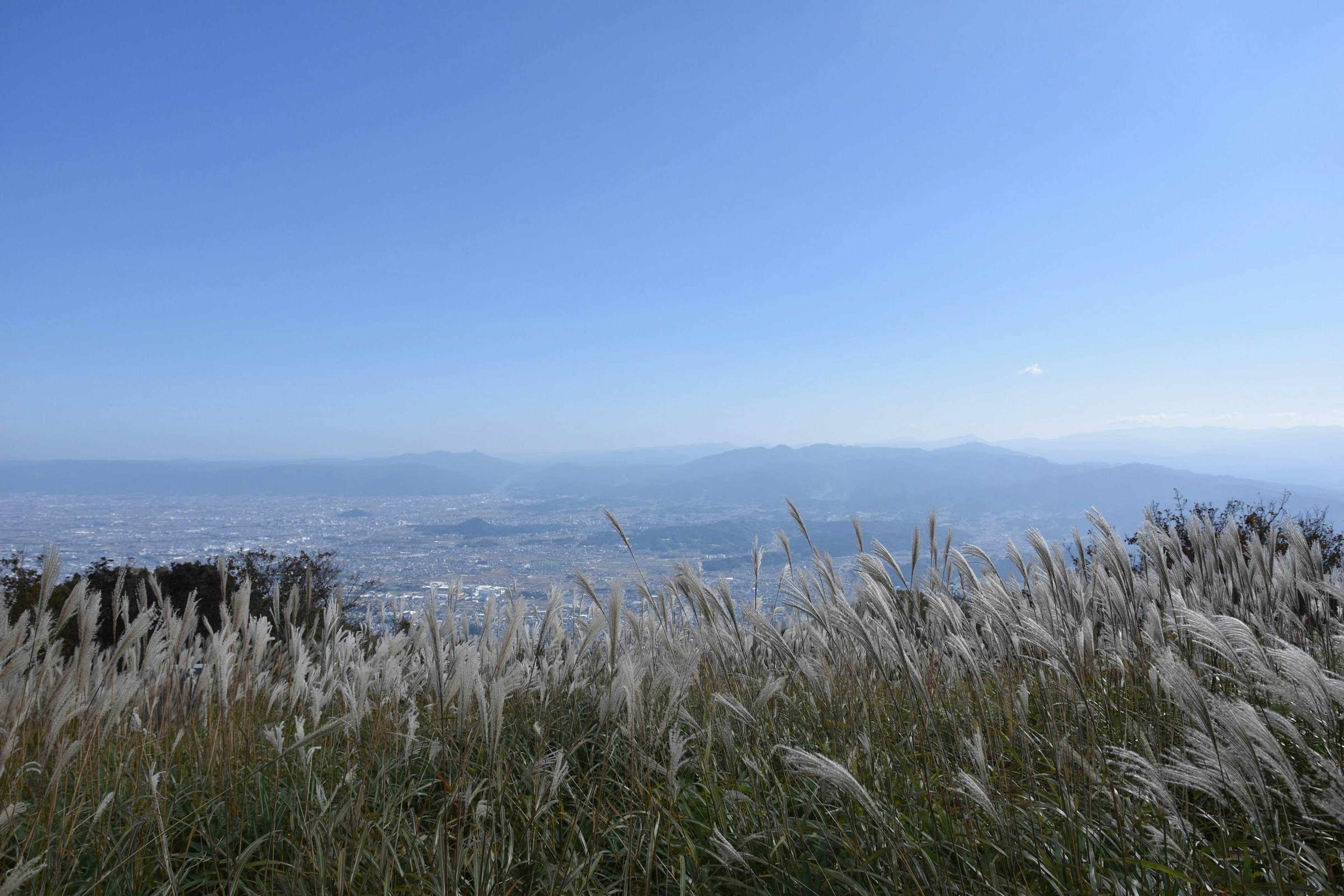 Vista escénica de cielo azul y pradera con montañas distantes