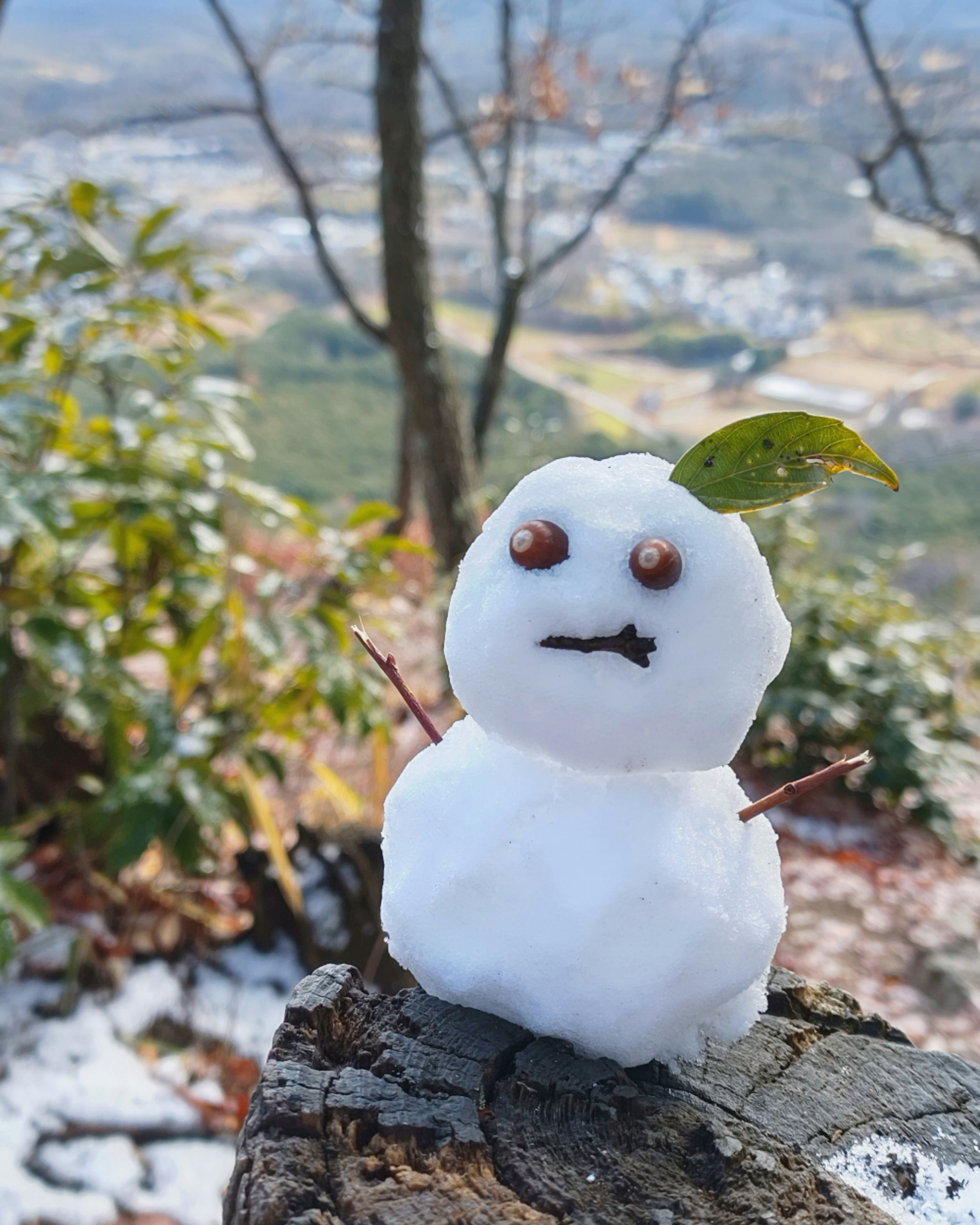 Un pequeño muñeco de nieve hecho de nieve está de pie sobre un tronco de árbol