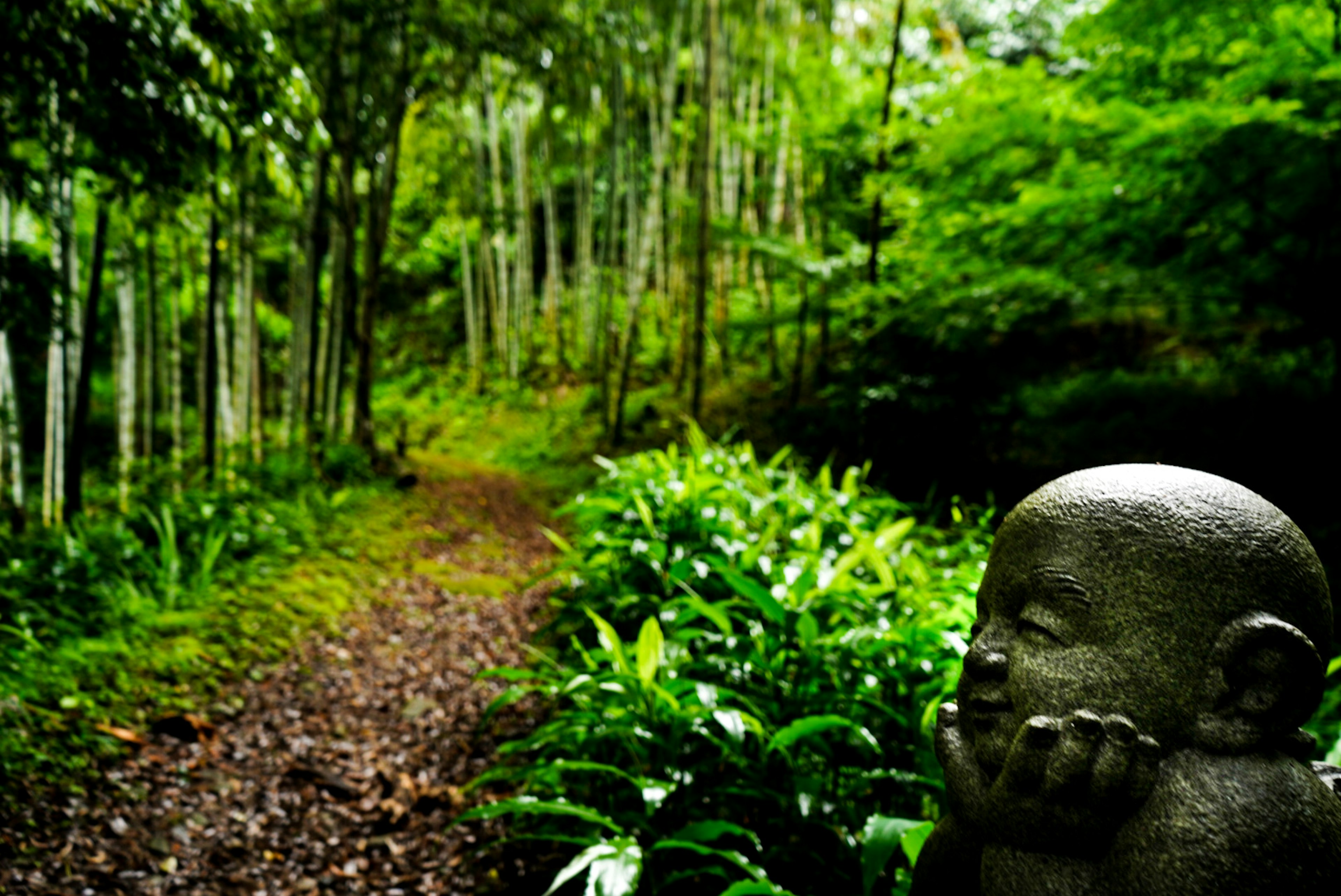 静かな緑の森に佇む笑顔の仏像と自然の小道