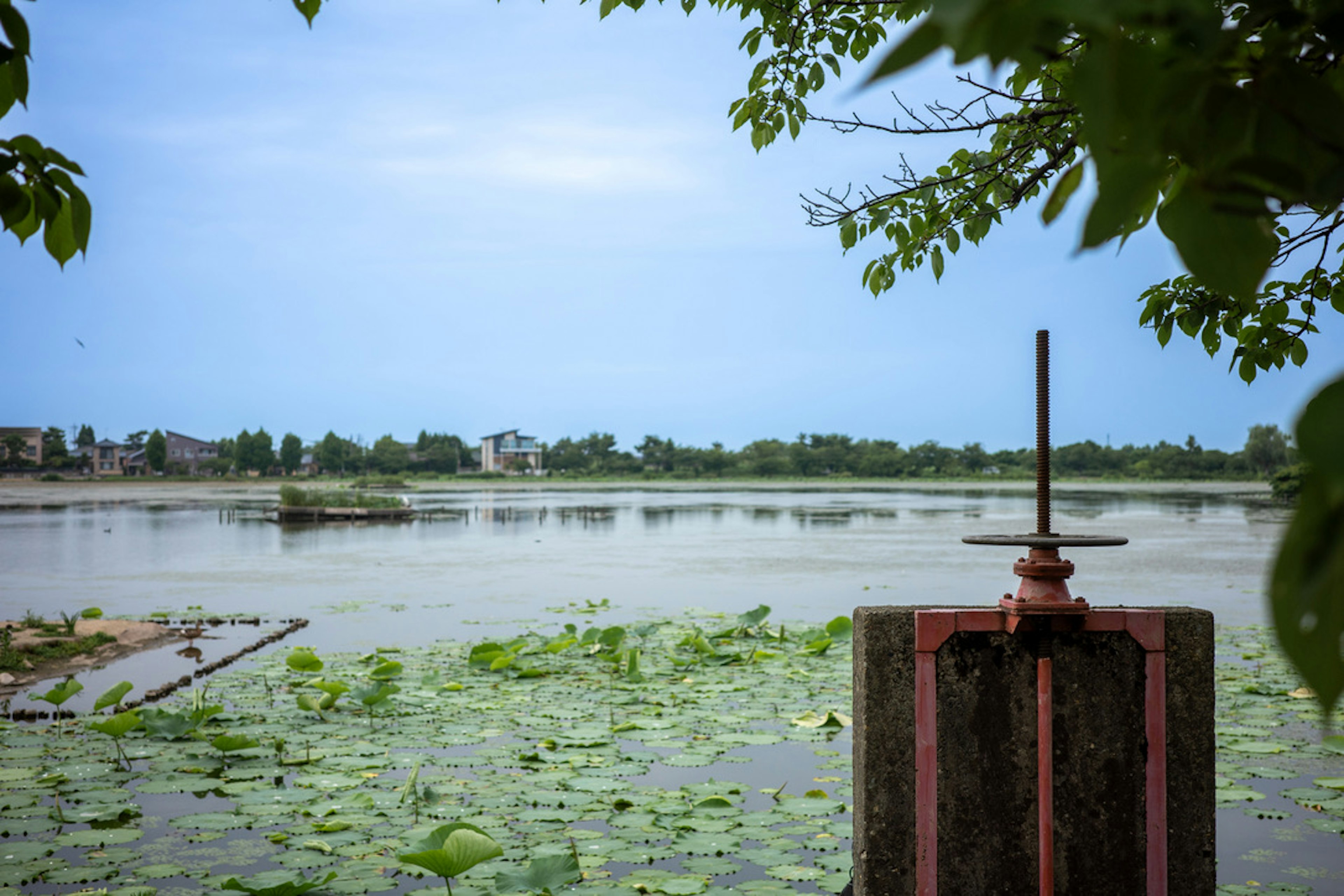 Old sluice gate with lily pads on the calm lake and a distant village in the background