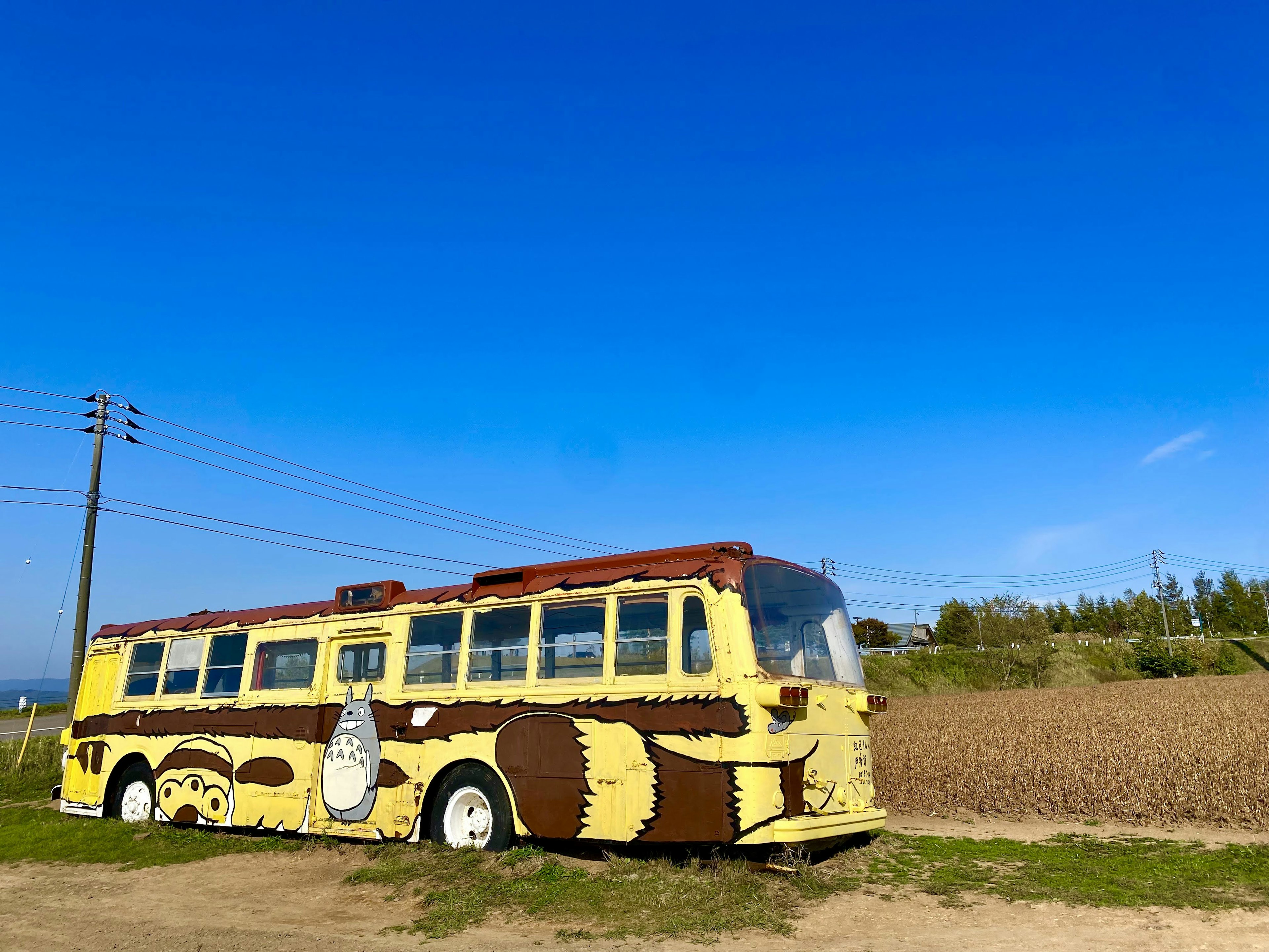 Sebuah bus kuning dengan pola coklat diparkir di samping ladang di bawah langit biru