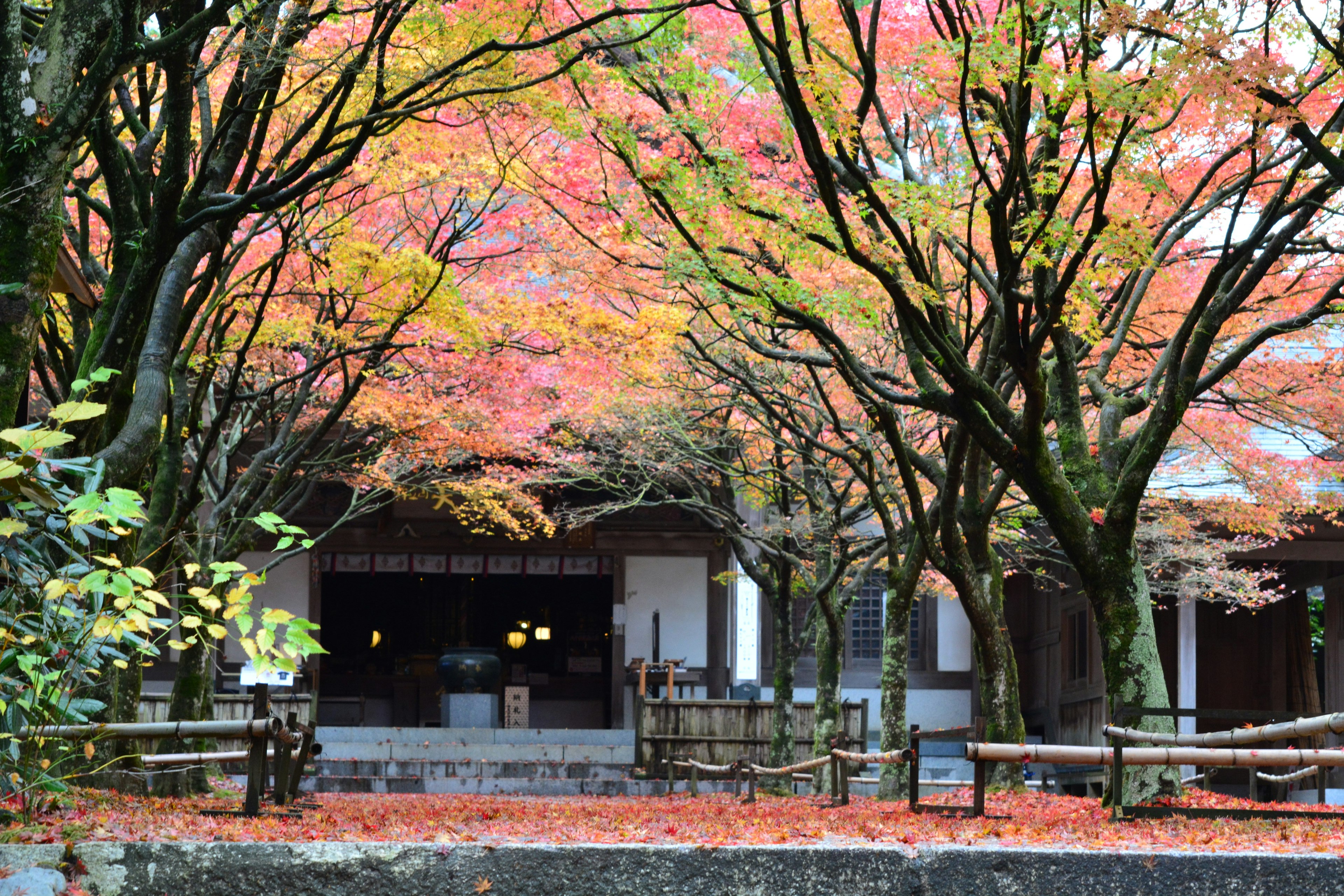 色とりどりの紅葉に囲まれた日本の伝統的な建物